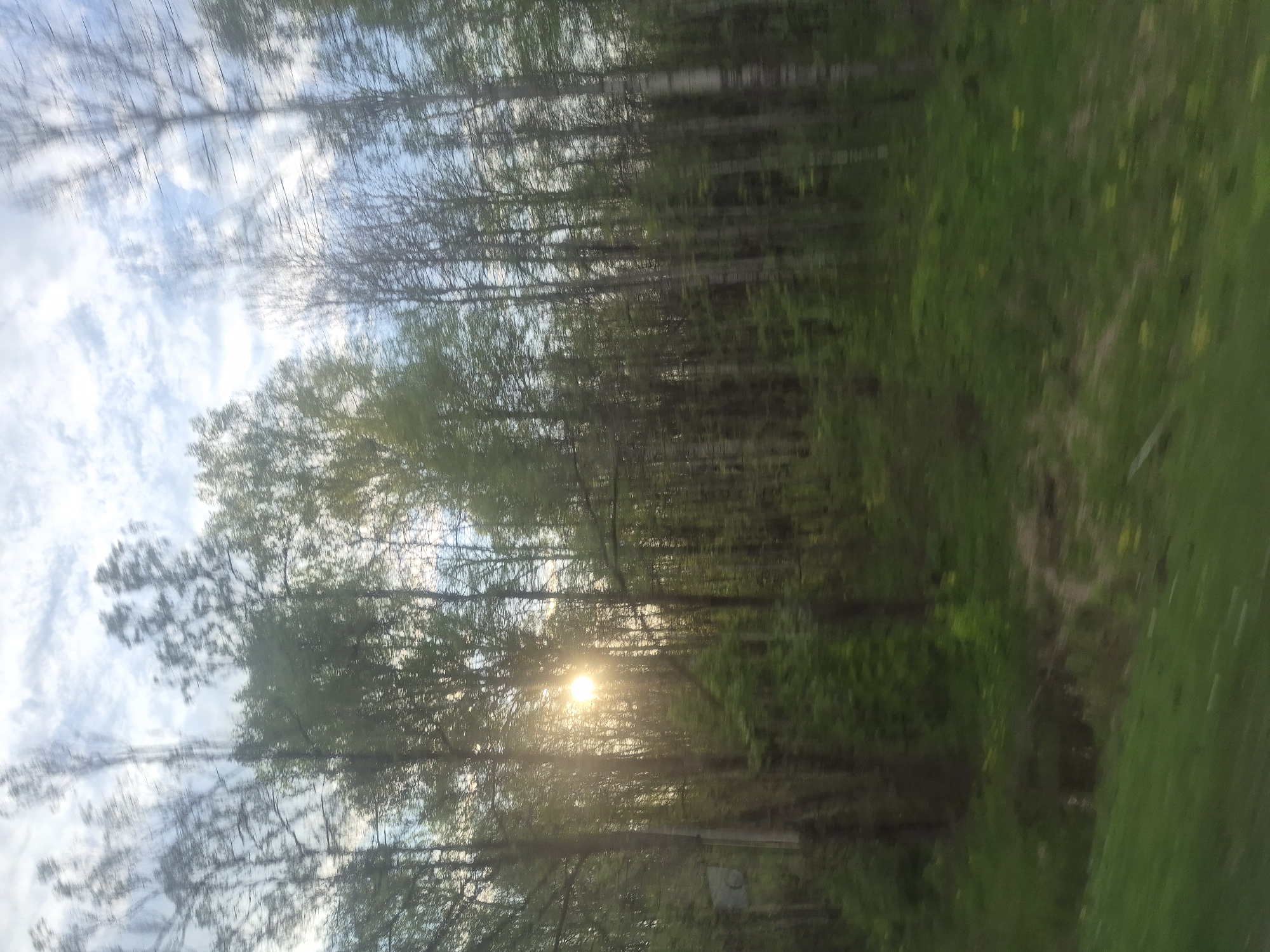 The image depicts a forest scene, possibly taken while in motion, with sunlight piercing through the trees. The sky is visible through the branches and features some clouds. The foliage is primarily green, indicating a wooded area with likely deciduous and coniferous trees. A section of grassy ground is present on the right side of the frame. The blur suggests movement during the photograph's capture. The location is not identifiable as Arkhangel'skoe, Russia, based on the provided image.