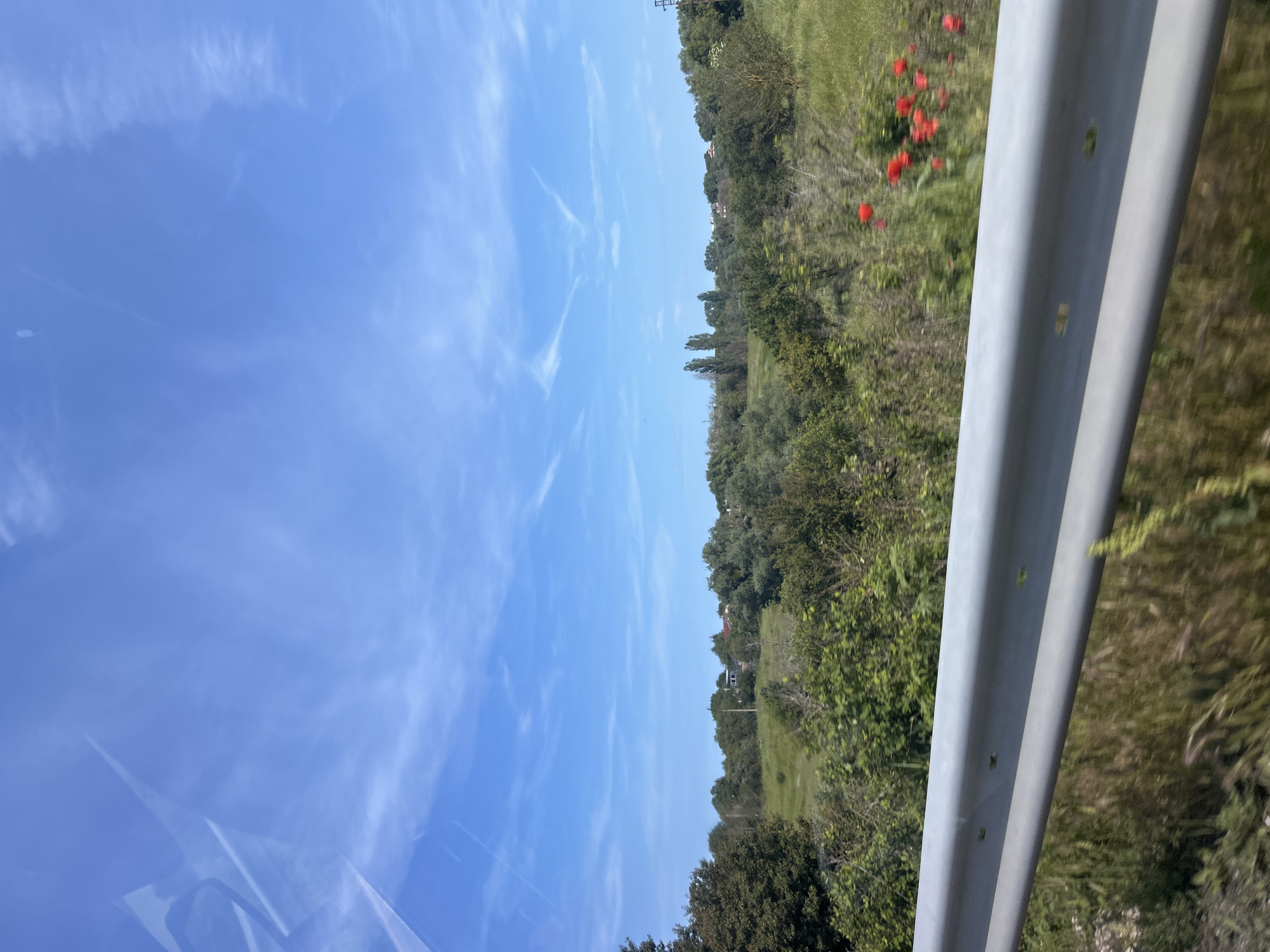 The image captures a vibrant rural landscape viewed from a moving vehicle. The top half of the frame is dominated by a clear, bright blue sky adorned with scattered, wispy white clouds, suggesting a sunny day.
Below the sky, a lush green countryside stretches across the mid-ground. It features dense clusters of trees, bushes, and grassy fields. A striking patch of bright red poppies stands out vividly against the green foliage, indicating either springtime or early summer. In the distant background, amidst the trees, a few indistinct buildings are visible, hinting at remote settlements. A tall, dark metal structure, likely an electricity pylon, can be seen rising above the distant tree line on the left.
On the far right of the image, a silver-grey metal guardrail, characteristic of a roadside barrier, runs vertically. Its slight blurring suggests motion, reinforcing the perspective of a view from a moving vehicle. Small circular indentations are visible along the guardrail's surface. The bottom-left corner shows a reflective glare on what appears to be a vehicle window.
No people are visible in the scene. The weather is clear and sunny, likely during the day. The setting appears to be a rural area alongside a road or highway, possibly near Kumanovo, Bulgaria, as indicated by the context. There is no discernible text in the image.