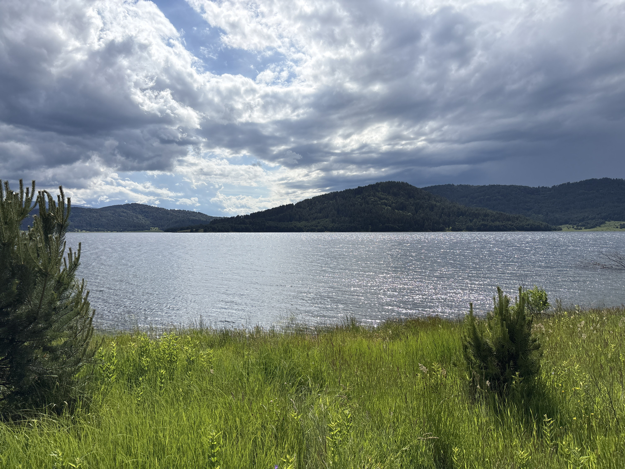 The image depicts a wide, calm lake bordered by lush green hills covered in dense forest. The sky above is dramatic, filled with a mix of bright white, cumulus clouds and darker, more ominous storm clouds. Sunlight glints off the surface of the water, creating a shimmering effect. In the foreground, tall green grass and a few small evergreen trees grow along the shore. The scene is natural and serene, possibly suggesting a location near Batak, Bulgaria, a city known for its beautiful mountain scenery and large reservoir. There are no people or animals visible in the image, and no actions or interactions are taking place.
