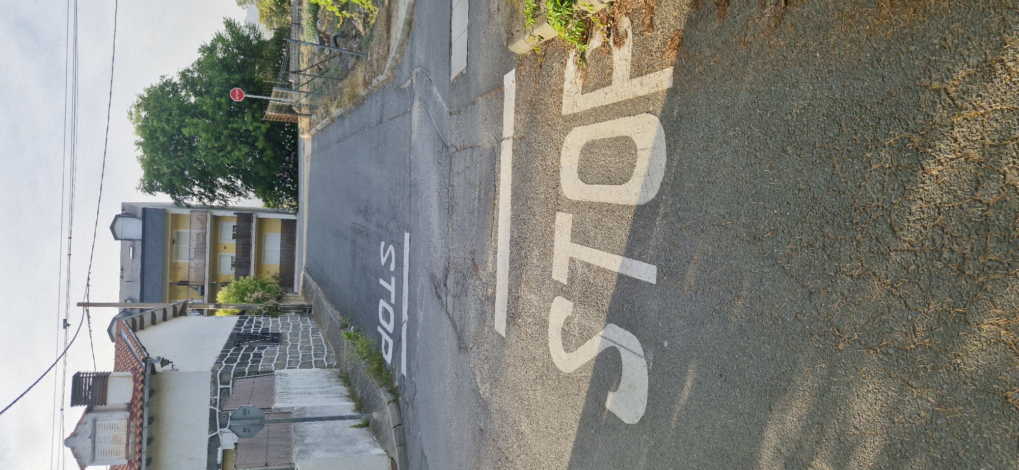 The image shows a street with two stop signs painted on the asphalt. The closest stop sign is large and in the foreground, with the letters "STOP" painted in white. Further up the street, a smaller stop sign is visible on a pole. There are buildings on either side of the street, including a white building with a tiled roof and a multi-story yellow building. A large green tree is also visible behind the yellow building. The sky is overcast. The scene appears to be in a residential or semi-urban area.