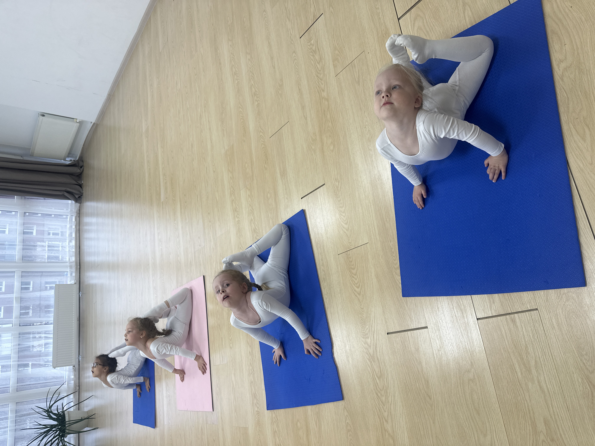 Four young girls, dressed in matching white gymnastics or dance attire, are captured from an overhead perspective inside what appears to be a studio or practice room in Votkinsk, Russia. They are positioned diagonally across the light wood-patterned floor, each on their own exercise mat (two blue, one pink, and one partially visible blue mat on the far left).
The girls are performing a synchronized backbend pose, similar to a scorpion or bow pose variation, with their chests lifted, arms extended forward for support, and legs bent with feet pulled towards their heads. Their expressions vary from focused and determined (the girl on the far right) to wide-eyed and concentrated (the girl in the middle with glasses).
The room is well-lit by natural daylight streaming through large, multi-paned windows along the left wall. Beyond the windows, other building structures are visible. Dark grey curtains are drawn below a radiator, and a green potted plant sits on the floor near the leftmost girl. The ceiling is white and a simple wooden floor makes up the ground. There is no visible text in the image. The overall atmosphere suggests an organized practice or training session, emphasizing flexibility and discipline among the children.