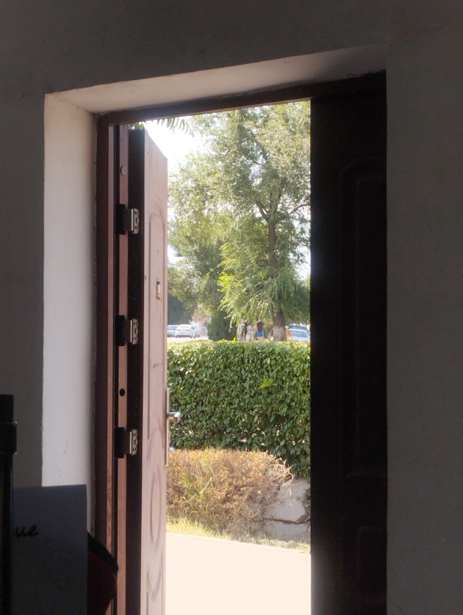 An open wooden door reveals a sunlit scene outside. The door, painted a light brown with visible wood grain and circular embossed designs, has two visible hinges and a metal door handle on the right side. Through the doorway, a well-maintained green hedge forms a boundary. Beyond the hedge, dry, yellowing brush and grass are visible, with a concrete wall or barrier behind it. Further in the distance, a large tree with lush green foliage stands prominently, casting shadows. Several people are standing near the tree, some appearing to be gathered together. Cars are parked along a road in the background, and more trees line the street. The left side of the image shows the interior of a building, with a white wall and a dark, textured surface. A dark rectangular object with writing on it is partially visible on the left.