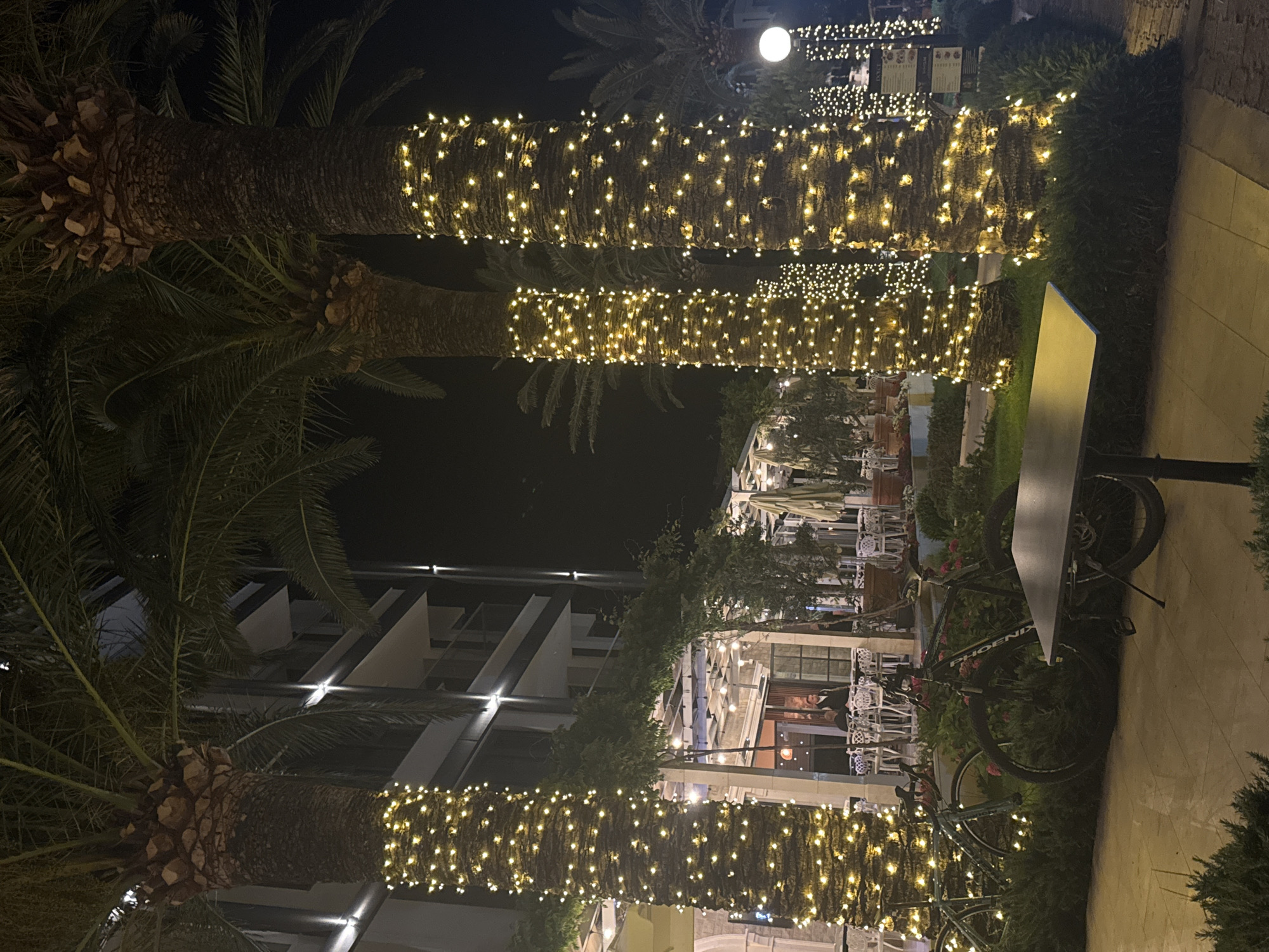 This image captures an outdoor nighttime scene in Boreti, Montenegro, featuring illuminated palm trees, a modern building, and an outdoor dining area.
Three prominent palm trees, with rough, textured trunks, are heavily wrapped from base to crown in warm white string lights. Two of these trees dominate the left and center foreground, while a third is visible in the right midground, also adorned with lights. Additional palm trees, less distinctly lit, extend into the background.
To the left and center background, a multi-story, modern building with horizontal lines and balconies is illuminated by numerous upward-facing exterior lights on its facade.
In the midground, to the right of the leftmost palm tree and extending across the center, an outdoor cafe or restaurant area is visible. This area features an open structure, possibly a pergola or canopy, also strung with warm white lights. Beneath this structure are numerous white metal chairs and dark-topped tables arranged on a paved surface. At least two individuals are present in this area; one person in a dark uniform stands near a doorway, while another is seated at a table further back. To the far right of the cafe area, several large white outdoor umbrellas are folded and stored upright.
The foreground consists of a paved ground surface, appearing to be light-colored tiles or concrete. In the immediate foreground, slightly right of center, a dark, rectangular table with a central pedestal base is positioned. To the left of this table, behind a low green bush, two bicycles are parked: one a light blue mountain bike, and the other a darker model with "PHOENIX" visible on its frame. Low green bushes and other small plants are incorporated into the landscaping, lining the paved areas and surrounding the bases of the palm trees.
Lighting is predominantly artificial, creating a luminous ambiance. In addition to the string lights on the trees and cafe structure, individual globe lights on poles are visible in the far right background, and various spot and wall lights illuminate the building and surrounding areas. The sky is dark, indicating night.