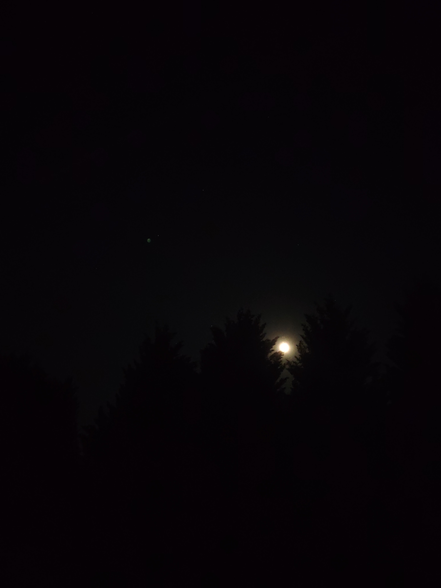 The image shows a dark night scene. The silhouettes of trees are visible in the lower half of the image, and the moon appears to be behind them, creating a bright spot in the center. Above the trees, the sky is dark with one small greenish light and a faint pinpoint of light to its right. The picture was taken in a rural area with the moon obstructed from view by trees. There are no people, identifiable subjects, or interactions visible. The location is indeterminate but not necessarily Spuž, Montenegro.