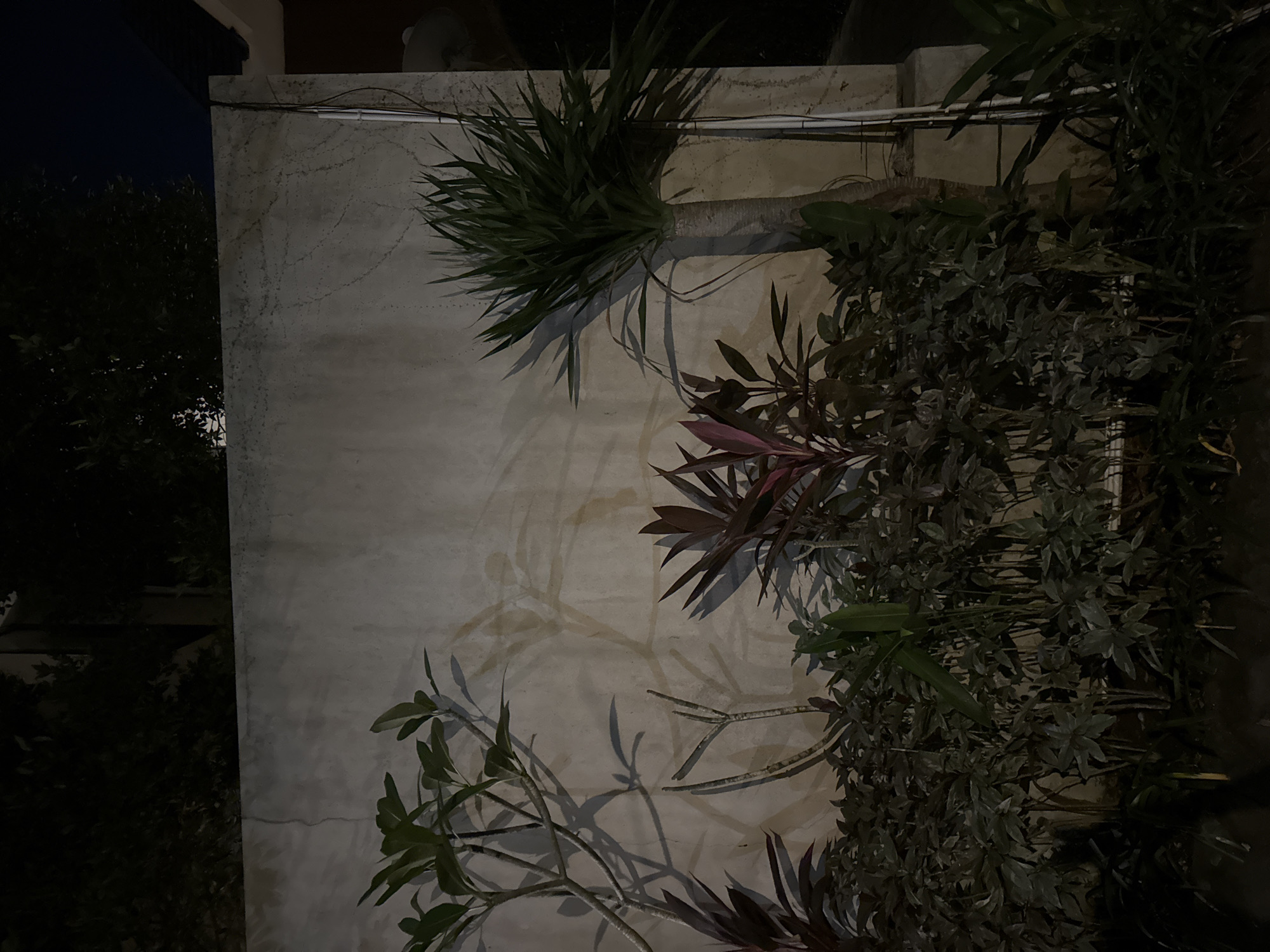 A low-angle, medium shot of a concrete wall at night. Plants are growing on and in front of the wall. To the left of the wall, the dark night sky is visible above trees. At the top of the wall is a piece of white PVC pipe. The city of Kuta Selatan, Indonesia is not discernible in the image.
