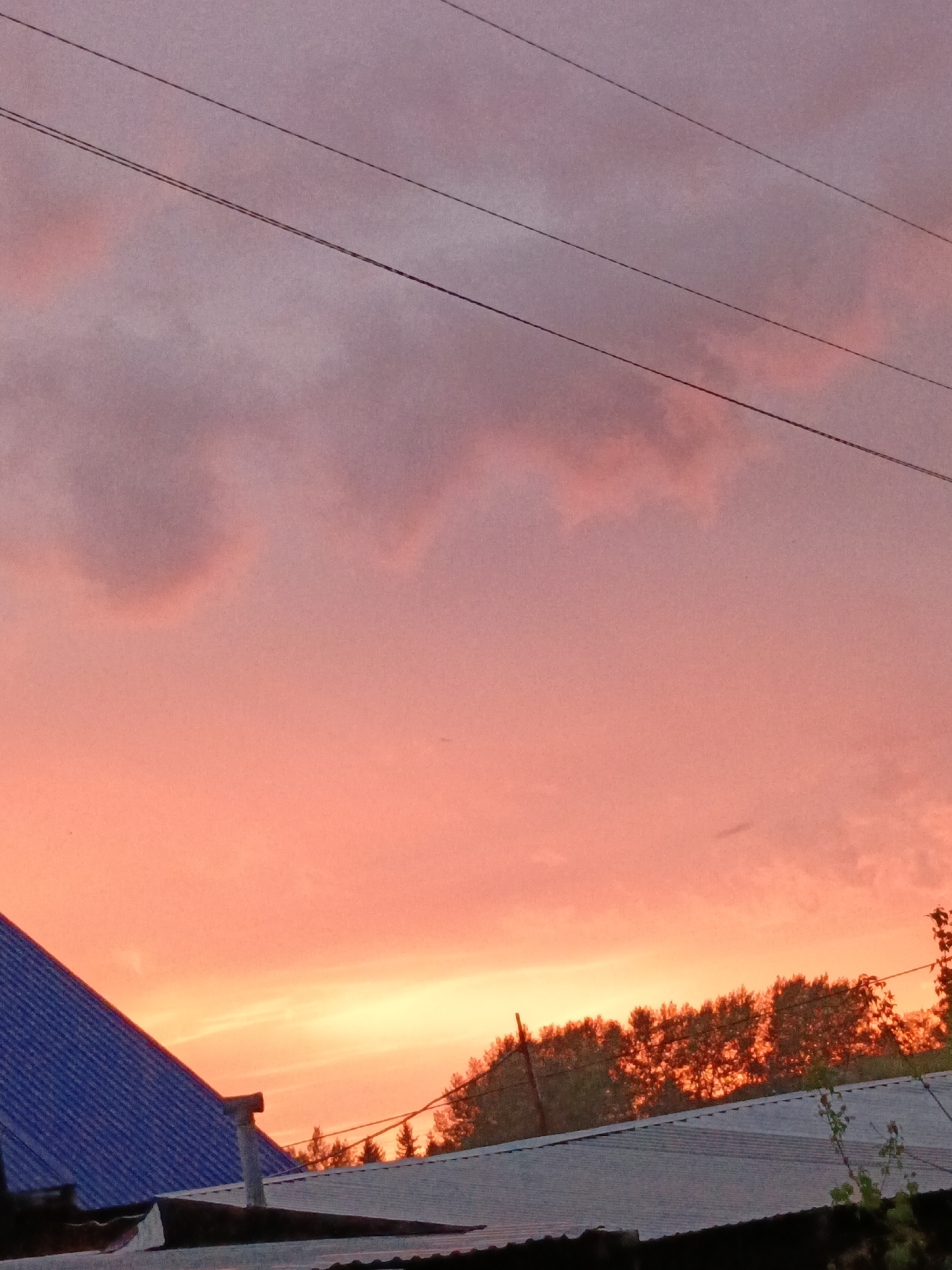 The image captures a vivid sunset over Zalesovo, Russia, as evidenced by the architecture and vegetation. The sky is dominated by a gradient of colors, transitioning from deep purple and pink hues at the top to a radiant orange near the horizon. This light illuminates the silhouettes of trees along the horizon. Several utility lines are visible stretching across the sky. In the foreground, the roofs of buildings are distinguishable. One roof appears to be corrugated metal and painted blue, while others are grey.