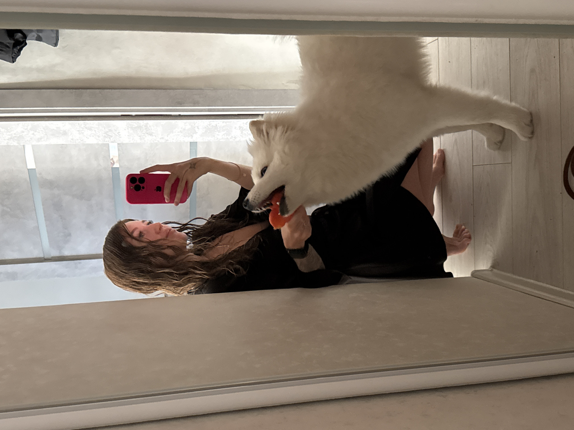 A reflection in a mirror shows a woman lying on her side, holding a red smartphone in her right hand and an orange ball in her left hand. A large white dog is positioned over her, appearing to grab the ball from her hand. The background suggests an indoor space with light-colored walls and flooring. It is not possible to determine the location as Chaikovsky, Russia, based on the given image.