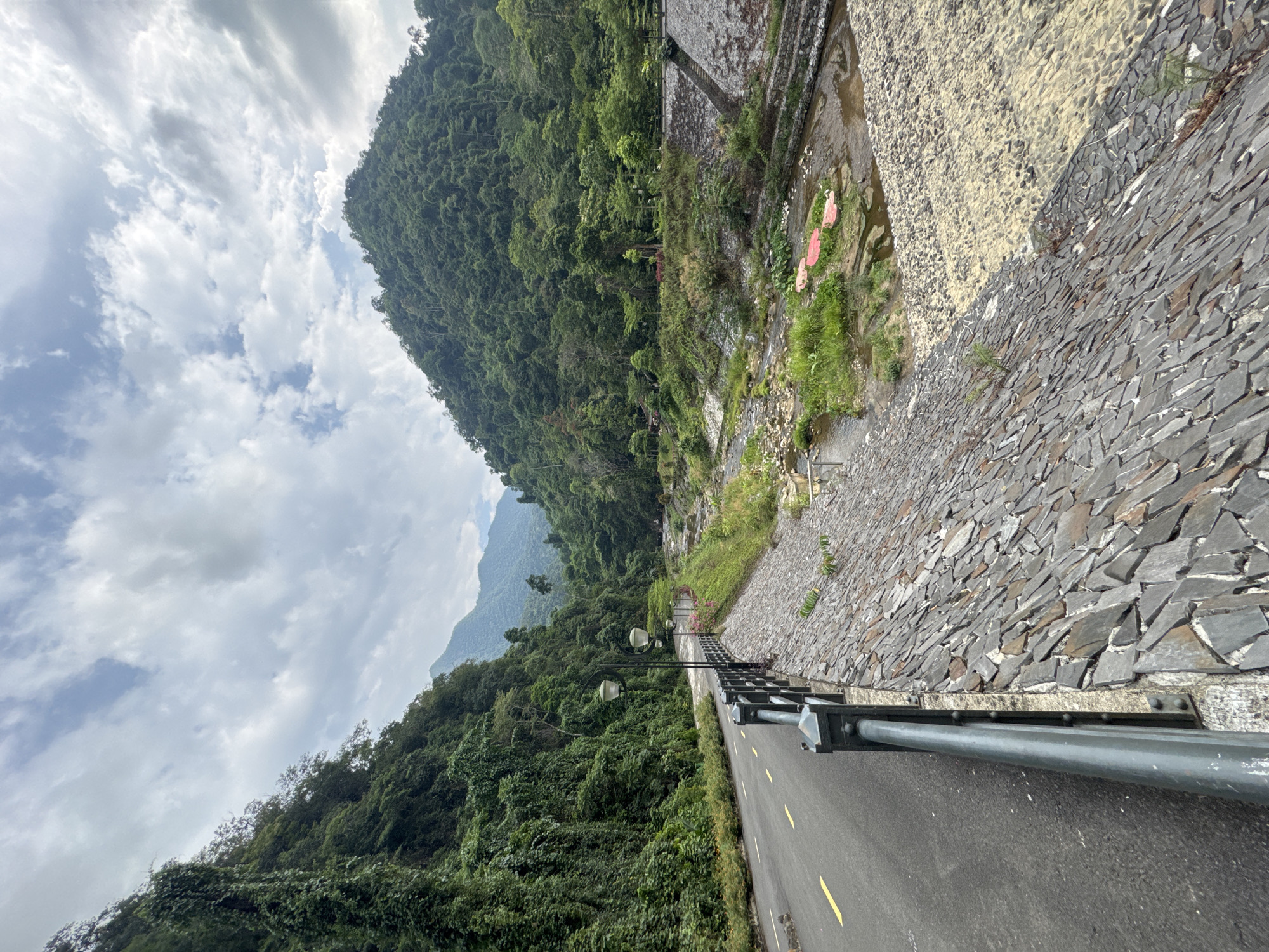 The image, set in Đà Nẵng, Vietnam, captures a lush mountainous landscape under a partially cloudy sky. A paved asphalt road, marked with yellow double solid lines and a broken yellow line, curves gently from the foreground towards the distant mountains. Along the left side of the road, a dark metal railing supports two streetlights with round, pale luminaires, extending into the midground.
To the left of the road, a steep mountain face rises dramatically, densely covered in vibrant, dark green jungle foliage. In the far distance, a hazier, blue-tinged mountain range is visible, partially obscured by the soft lighting. The sky above features a mix of bright white and darker grey clouds, with patches of clear blue visible.
On the right side of the road, a multi-tiered retaining structure separates the roadway from a natural water feature. Closest to the road is a robust wall built from irregular, dark grey stone slabs. Beyond this, a lighter, sand-colored embankment ascends, followed by a narrow, shallow stream with rocky banks and scattered green grass. Two distinct red, somewhat heart-shaped or leaf-shaped objects are visible on the stream bank. The scene appears to be set during the day, with soft, natural lighting suggesting morning or early afternoon. No people are present, and there is no visible text. The overall impression is one of serene natural beauty and a journey through verdant terrain.