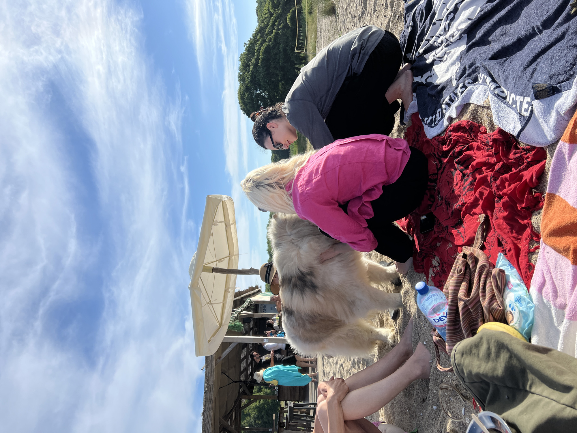The image shows a group of people and a large, fluffy dog on a sandy beach. Two women are crouched down, one wearing a grey long-sleeved shirt and black pants, and the other in a bright pink shirt and black pants. They appear to be interacting with the dog. A large, white and tan dog with a thick coat is the central focus.
In the background, there is a beach umbrella providing shade over a thatched-roof structure. Several other people are visible under the structure, some sitting and some standing. The scene suggests a relaxed day at the beach.
The weather appears sunny with a bright blue sky and scattered white clouds. The time of day is likely daytime, given the strong sunlight. The location is a beach, and text on a blue plastic bottle reads "DEVI" and " Izvornata Voda." Other items on the sand include towels and clothing. The overall atmosphere seems casual and enjoyable.