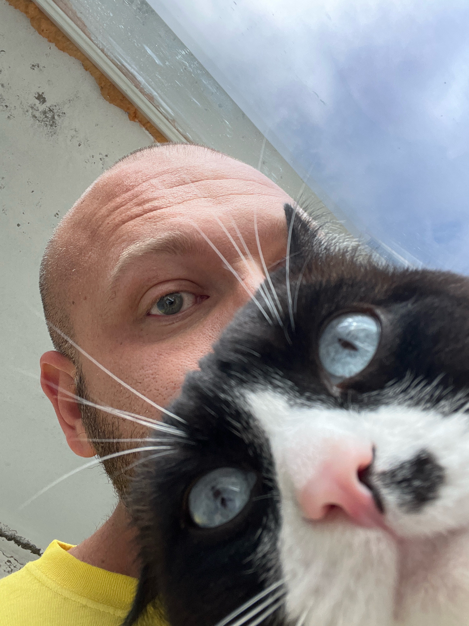 The image is a close-up, high-angle selfie of a bald man and a black and white cat. The man's left eye and the top of his head are visible on the left side of the frame, and he is wearing a bright yellow t-shirt. The cat's face, dominated by striking blue eyes and a pink nose, fills the majority of the right side of the image, positioned directly in front of the man's face. The background consists of a greyish wall with some dirt and a blurred sky seen through a window. The setting appears to be indoors, near a window, and there are no discernible landmarks indicating the city of Noviy, Russia.