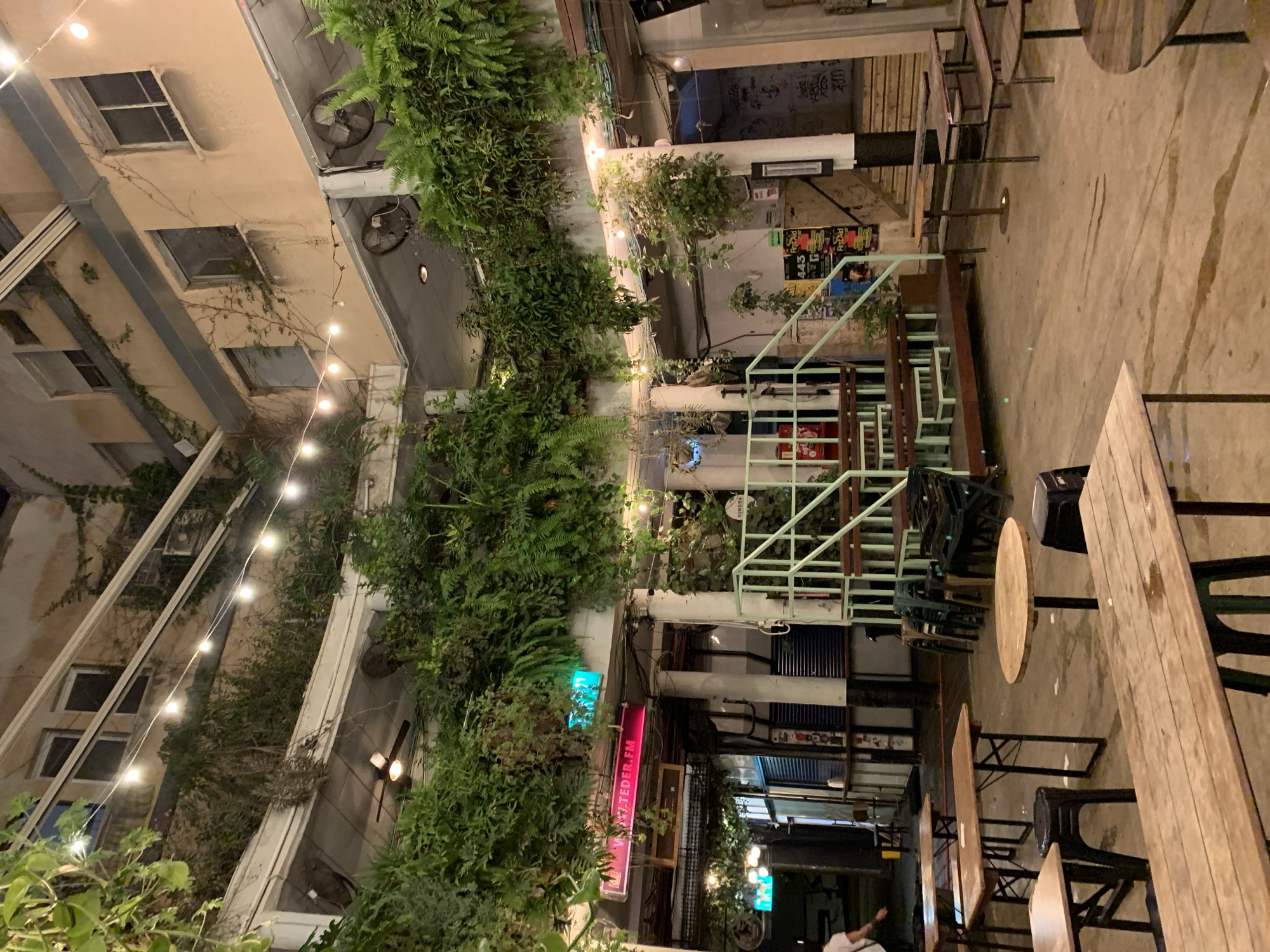 The image depicts an outdoor courtyard at night, likely in an urban setting. Abundant greenery, including ferns and other plants, cascades down the walls of the surrounding buildings, creating a vertical garden effect. String lights are strung across the courtyard, adding a warm glow to the scene. Tables and chairs are arranged throughout the space, suggesting it is a gathering place such as a restaurant or bar. A metal staircase with a light-green railing is visible, leading to a higher level. Signage with Hebrew letters indicates the location is most likely in Tel Aviv, Israel. A neon sign, partially obscured by vegetation, has the text "Teder.FM." The overall atmosphere is relaxed and inviting.