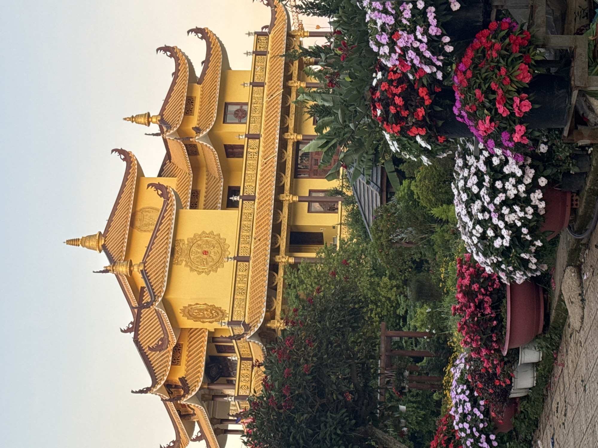 This image captures a vibrant scene outside a Buddhist temple in Da Lat, Vietnam. The temple, a prominent structure, features intricate golden roofs and yellow walls adorned with decorative circular medallions. In the foreground, a lush garden overflows with a profusion of colorful flowers, including pinks, reds, purples, and whites, housed in various pots and planters. The garden is meticulously maintained, creating a stark contrast with the grandeur of the temple. The overall atmosphere is one of serenity and natural beauty, typical of Da Lat's renowned floral landscapes.