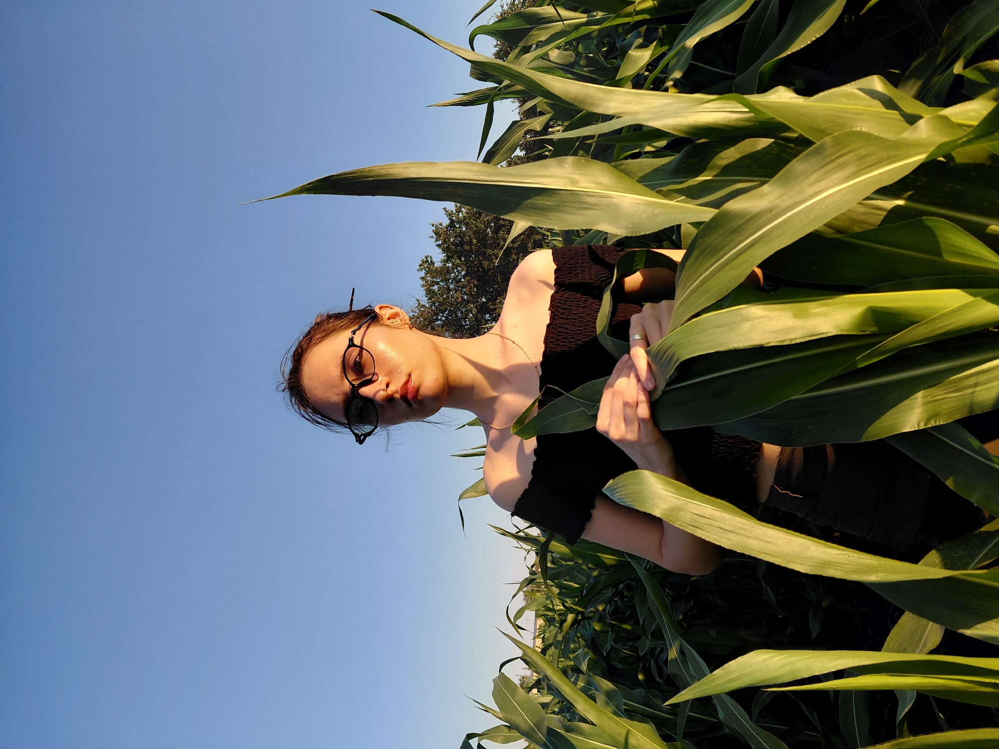 The image features a young woman in a cornfield during what appears to be sunset or sunrise. She is positioned in the center of the frame, surrounded by tall, green corn stalks that frame the shot and partially obscure her. The woman is wearing round, dark-rimmed glasses and a black, off-the-shoulder top. Her hair is pulled back, and she is looking towards the camera with a neutral expression. One hand is resting near her face, while the other is visible near her torso, wearing a ring. The sky above is a clear, bright blue, indicating fair weather. The lighting suggests a warm, golden hour, casting highlights on her skin and the surrounding foliage. The scene evokes a sense of peacefulness and immersion in nature. There is no visible text in the image.