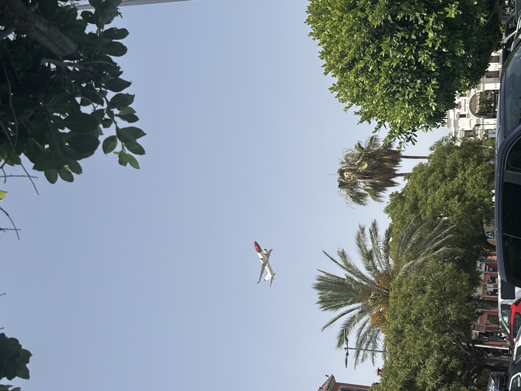 In Guadalmar-San Julián, Spain, on a clear, bright day, an airplane with a white fuselage and a red tail is captured in mid-flight against a pale blue sky. The aircraft appears to be ascending. Below the airplane, lush green trees and palm trees frame the lower portion of the image. Partially visible buildings with red and white facades are seen through the foliage. In the foreground, the roofline of a dark-colored vehicle is present, suggesting a street-level perspective. The scene conveys a sense of a sunny day in an urban environment with a prominent natural and aviation element.