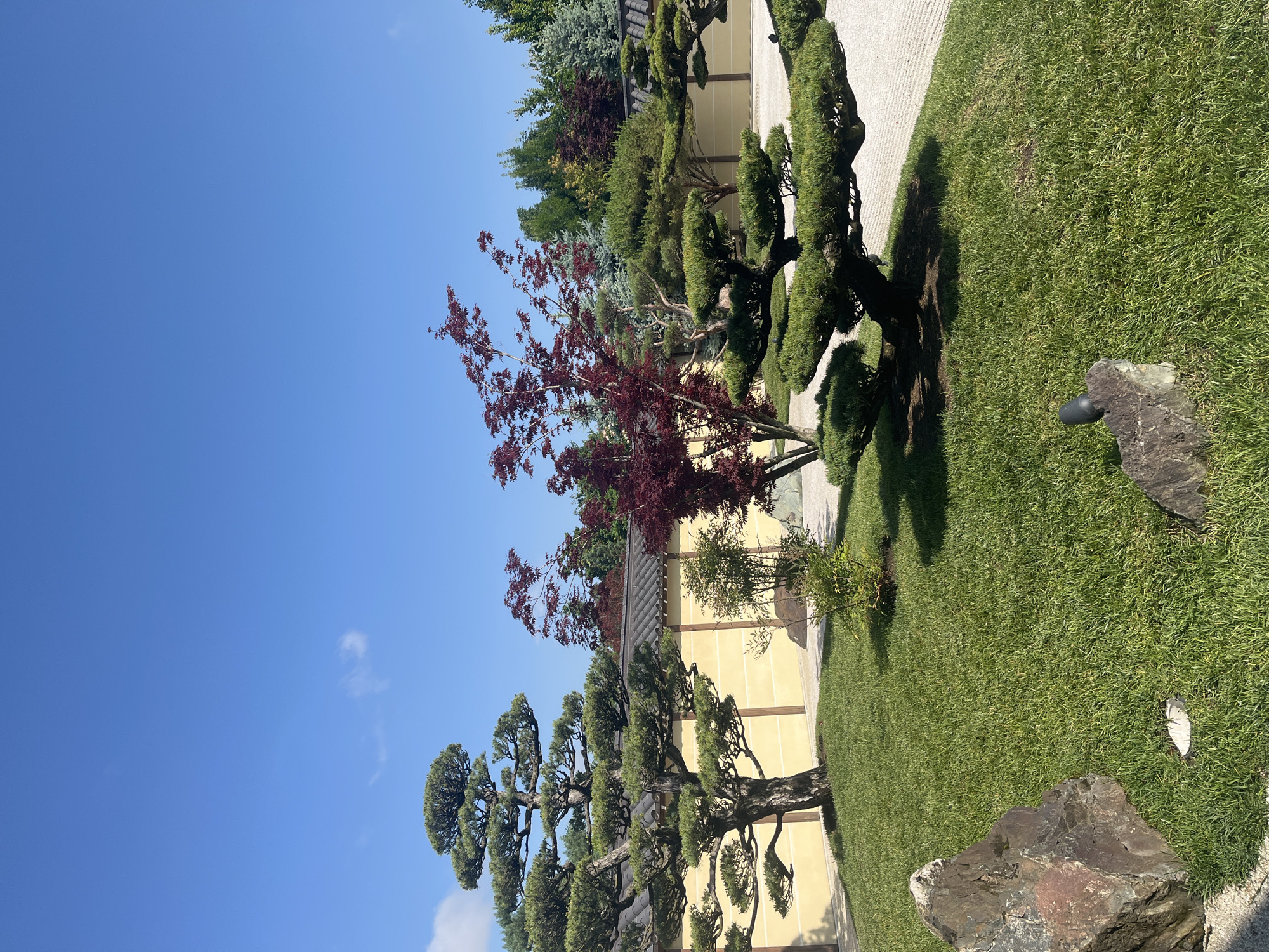 The image depicts a meticulously maintained Japanese garden under a clear blue sky. The foreground is dominated by lush green grass, interspersed with large, dark rocks. Several meticulously pruned trees are present, including a tall pine tree with layered branches on the left, and several other sculpted pine trees in the mid-ground. A Japanese maple with vibrant red leaves stands out amidst the greenery.
In the background, a low, light yellow wall with a dark tiled roof runs horizontally across the scene, separating the manicured garden from a line of various trees, including evergreens and deciduous trees, in the distance. The ground in front of the wall is covered with fine white gravel, raked in a pattern typical of Japanese Zen gardens. A small, dark garden light is visible on a rock in the mid-ground.
The scene is peaceful and serene, suggesting a carefully curated landscape. The image appears to be taken on a sunny day.
This image is located in the Japanese Garden in the city of Krasnodar, Russia.