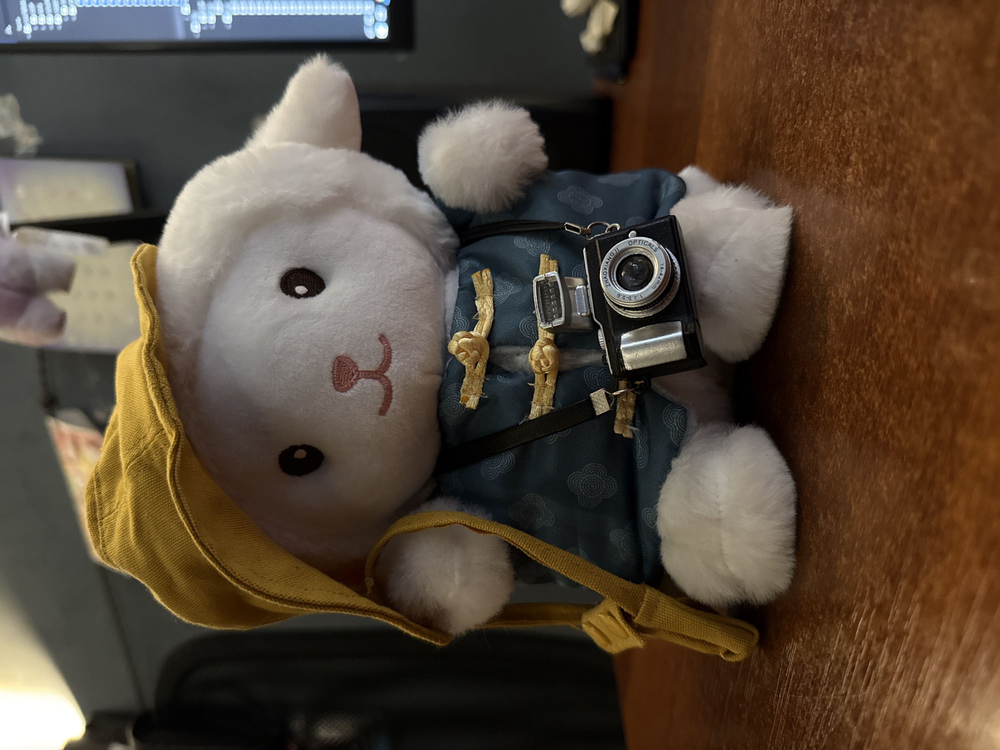 This media file features a close-up, top-down shot of a white, plush lamb toy dressed in a blue garment with a cloud pattern and a yellow hood. The lamb is wearing a small, decorative camera with a black body and silver accents, hanging from a strap around its neck. The camera has visible text, including "OPTICALS," "1:3.5-5.6," and "14-42mm." The toy is positioned on a brown wooden surface, likely a table. In the background, a blurry screen displays rows of white lights, possibly indicating a computer monitor or a digital display. The lighting is dim, suggesting an indoor setting. The toy appears to be in a static, posed position, with no discernible activity taking place beyond its presentation. The image has a shallow depth of field, blurring the background and emphasizing the toy and its accessories. The overall mood is whimsical and cute, with the toy's attire and the miniature camera suggesting a theme of adventure or photography. The provided location context is Saint Petersburg, Russia, though no specific visual cues within the image directly confirm this.