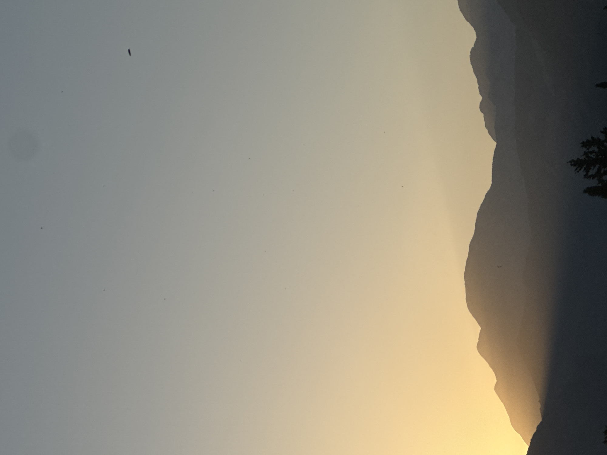 An outdoor, vertical, medium shot captures the silhouette of layered mountain ranges against a gradient sky of pale yellow near the horizon, transitioning to light grey and then a muted blue towards the top. The sun is low, illuminating the western slopes of the mountains with a warm glow, while the eastern slopes are cast in shadow. Several small, dark specks, possibly birds or insects, are visible in the sky. The foreground shows the dark shapes of trees. The scene is devoid of any human presence or man-made structures. The image appears to be a natural landscape in a mountainous region during either sunrise or sunset.