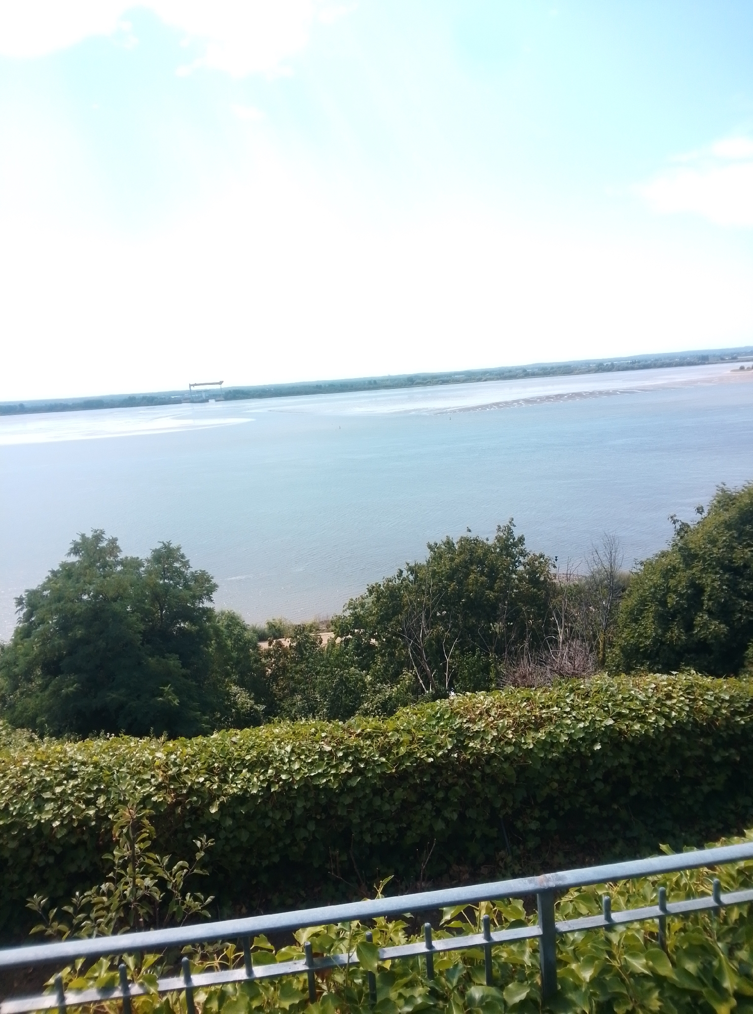 The image shows a wide, calm river with a distant bridge structure. The foreground features lush green foliage, including a dense hedge and trees, with a blue railing in front of it. The sky is bright with some clouds. The scene depicts a natural landscape with man-made elements in the distance. This specific view appears to be from a high vantage point overlooking the Elbe River in Hamburg, Germany.
