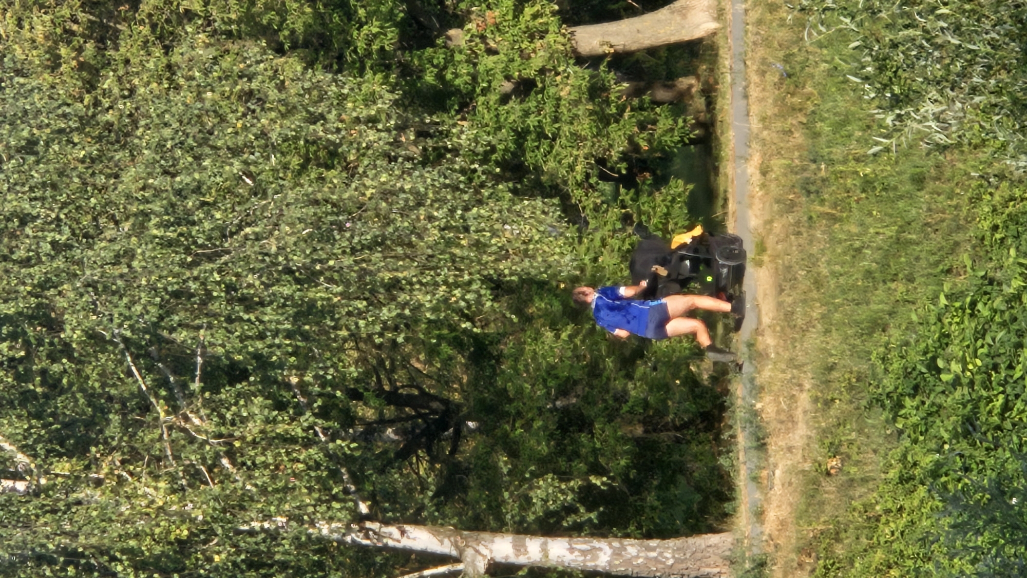 The image shows a person running on a paved path next to a grassy area. The person is wearing a blue shirt and dark shorts. They are pushing a black stroller with a yellow accessory. The path is bordered by trees and foliage. The scene appears to be in a park or natural setting. The location is in the city of Prešov, Slovakia.