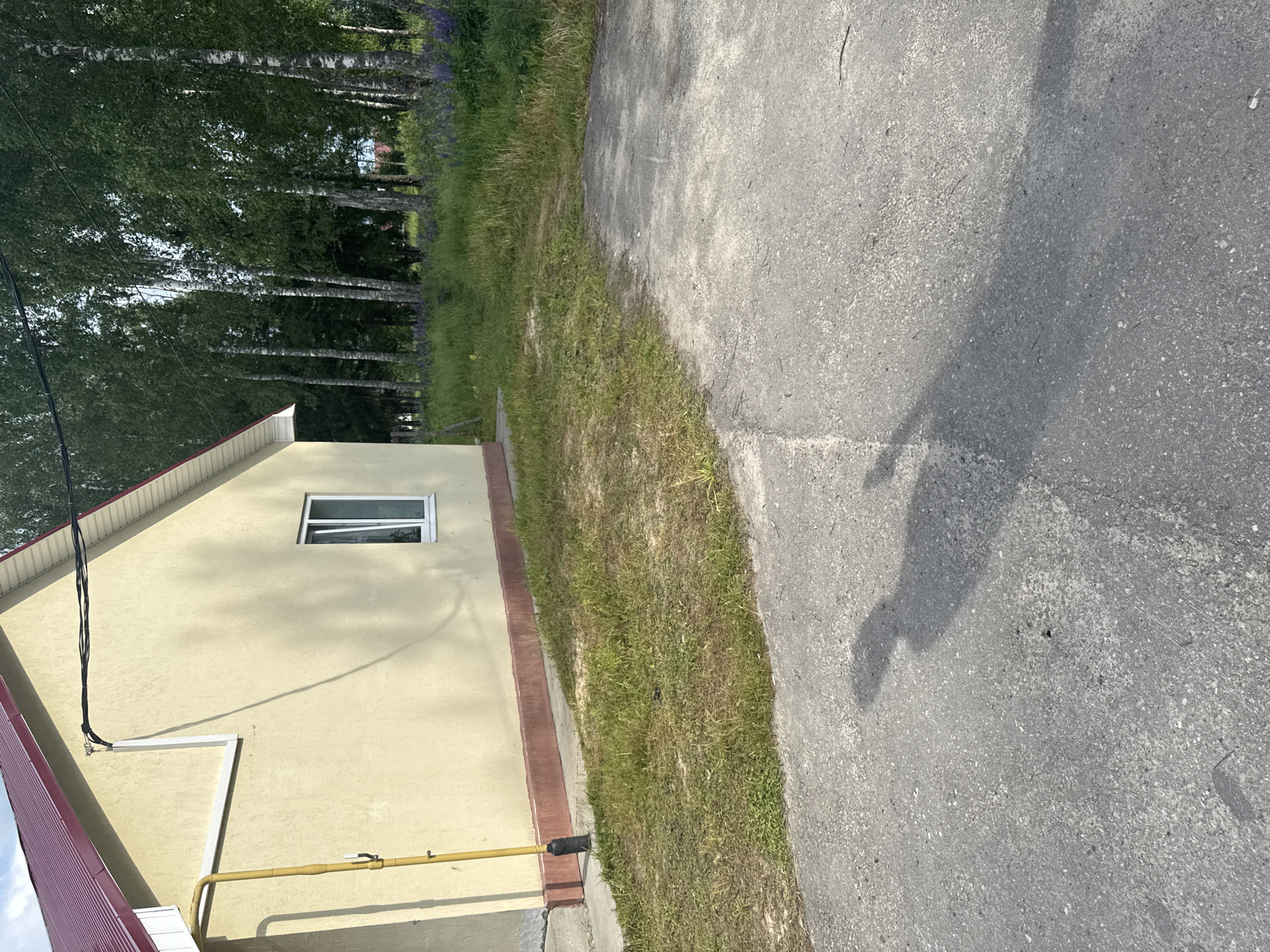 The image shows the exterior of a light yellow building with a red metal roof, located in the city of Krasnye Baki, Russia. A yellow gas pipe runs vertically along the side of the building. In front of the building, there is a patch of grass and an asphalt surface. A shadow of a person, appearing to be holding a camera or phone, is cast on the asphalt in the foreground. In the background, a line of birch trees with lush green foliage stands behind a field of grass and purple flowers. The sky is visible through the trees.