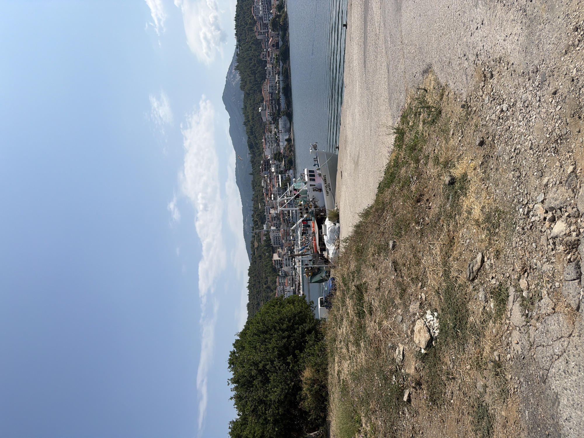 A wide-angle, eye-level, daytime shot shows a picturesque coastal scene in the Sithonia Municipal Unit, Greece. The foreground is dominated by dry, patchy vegetation and cracked asphalt, leading to a light-colored concrete pier. A white fishing boat with the name "ΠΟΡΓΗΣ ΜΑΝΟΣ" and "GR 532" visible on its side is docked at the pier, with a partially visible blue car parked behind it. In the mid-ground, the calm blue water of a bay stretches out, reflecting the bright sky. A dense, green tree stands on the left side of the frame, obscuring part of the view. The background features a sprawling town with white buildings and terracotta roofs, nestled against a lush, tree-covered hillside. The sky is a clear, bright blue with a few wispy clouds. The overall impression is one of a tranquil Mediterranean harbor.