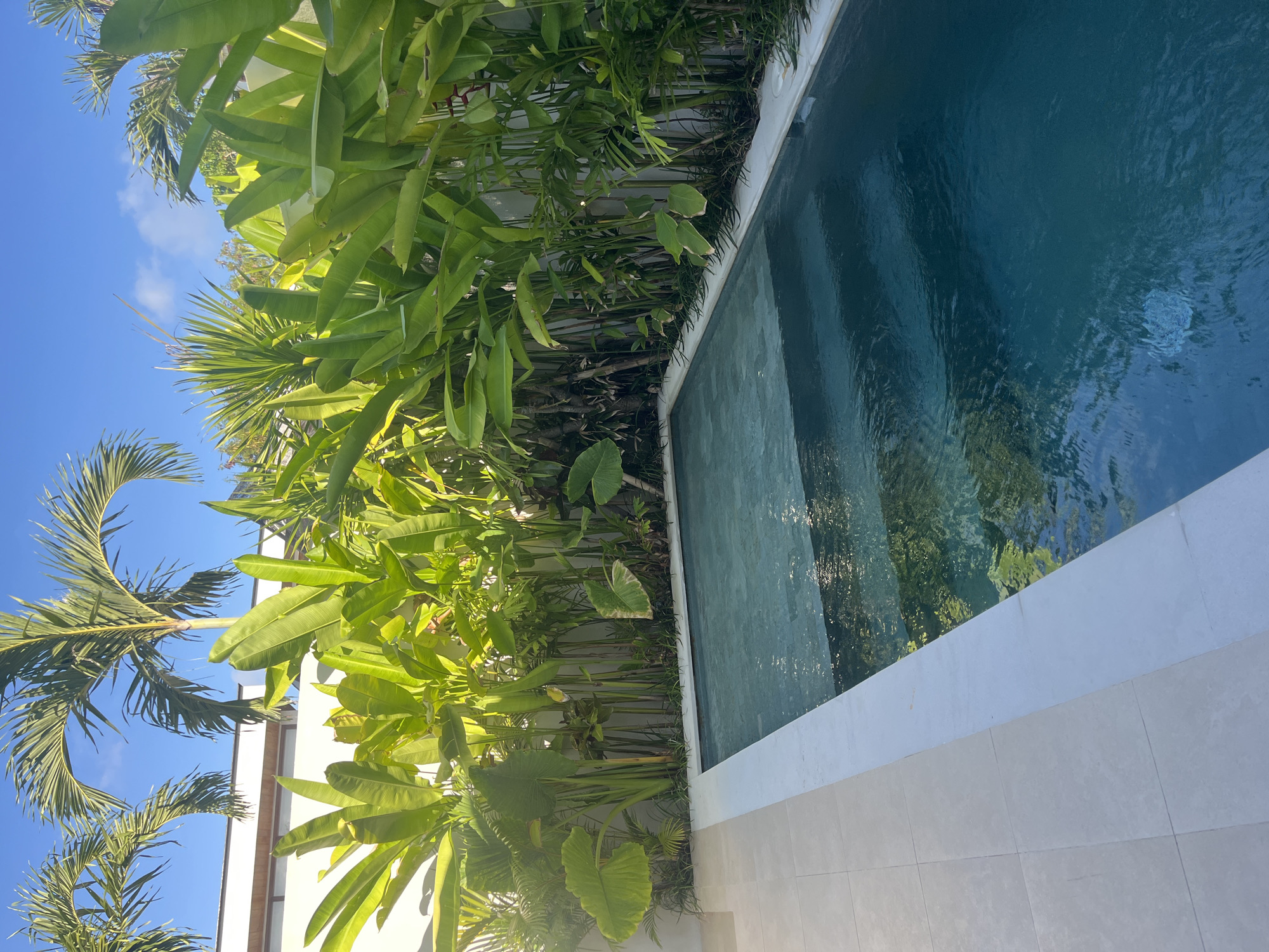 The image depicts a swimming pool in Kuta Selatan, Indonesia. The pool has a white tiled surround and clear blue water, with reflections of the surrounding greenery visible in the water. Dense tropical foliage, including banana trees and palms, borders the pool area. A section of a white building can be seen in the background, framed by the vegetation. The sky is clear blue.