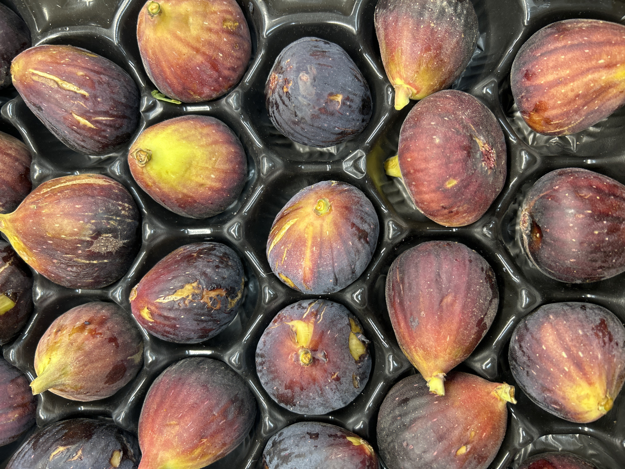 A close-up, top-down view showcases a black plastic tray filled with ripe figs. The figs vary in color, ranging from deep purple to reddish-brown with yellow and green undertones. Many have visible stems and some exhibit small white speckles on their skin. The tray is segmented, with each fig nestled in its own compartment. The lighting highlights the glossy texture of the fruit. The scene is indoors, with no external environmental or geographical context identifiable. The image is a still photograph with no discernible action or interaction taking place. The location of Detmold, Germany, is not ascertainable from the visual information presented in the image.