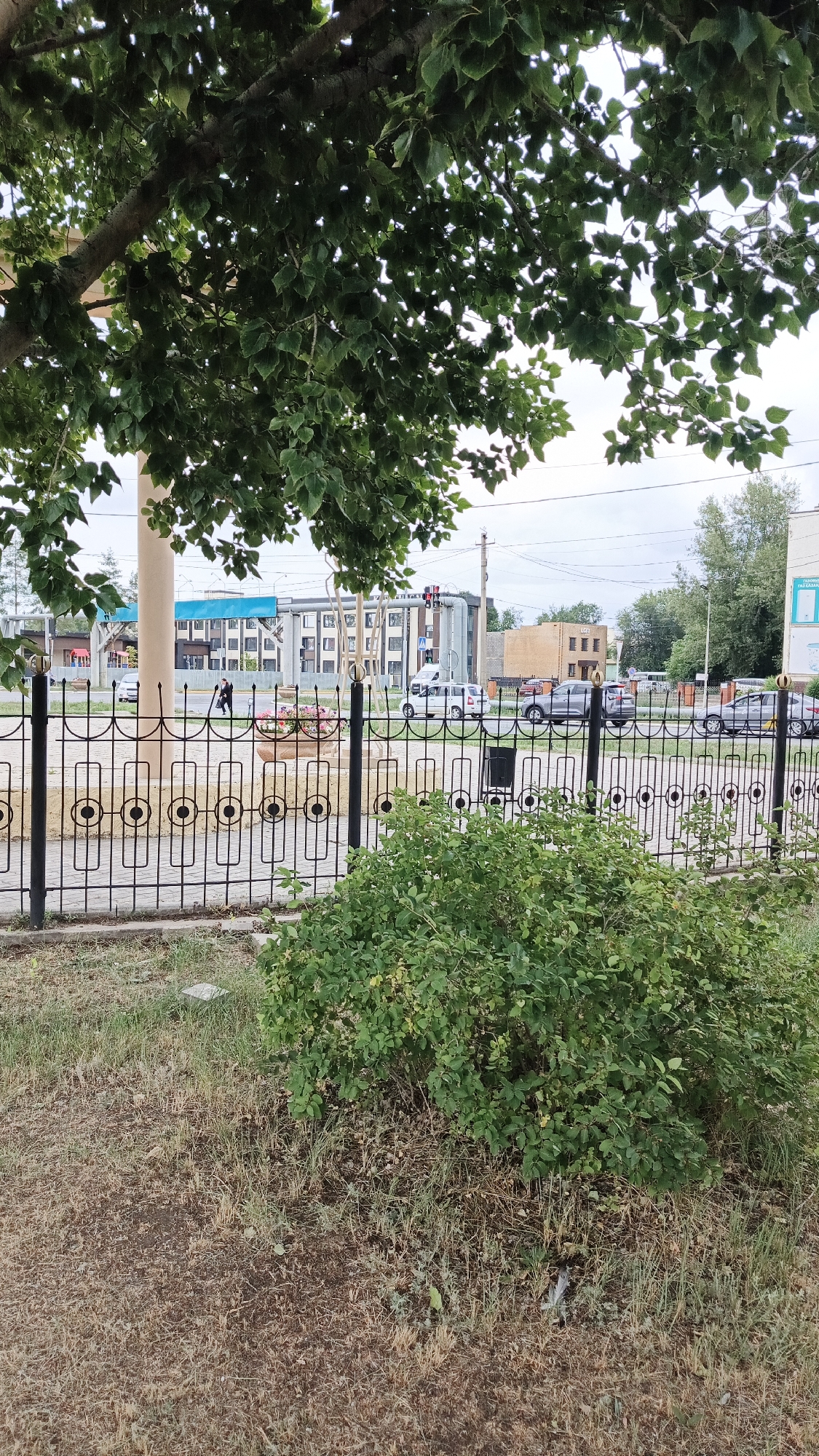 The image depicts a street scene in Aksay, Kazakhstan. In the foreground, a dense green bush is situated in front of a dry, grassy embankment. A black metal fence with a decorative circular and rectangular pattern runs horizontally across the middle of the frame, separating the foreground from the street. Behind the fence, cars are visible driving on the road, including a white SUV, a silver sedan, and another dark-colored car. On the left side of the street, there is a building with a blue facade and multiple windows. A traffic light with red and yellow signals is visible further down the street. A pedestrian, dressed in dark clothing, is walking near a decorative planter containing pink flowers on the sidewalk. The sky is overcast. A large tree with green leaves partially shades the upper left portion of the image.