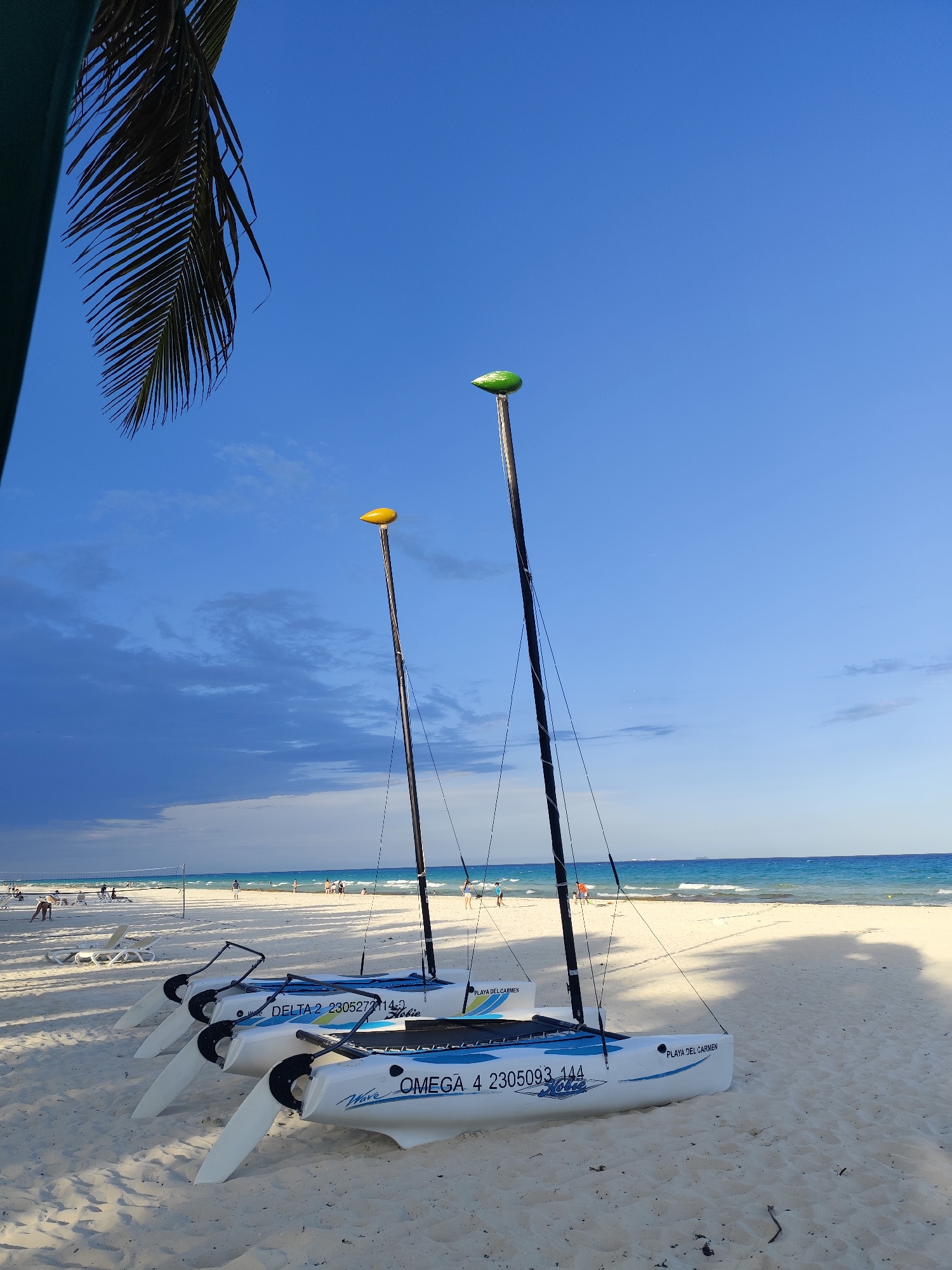 The image shows two Hobie Wave catamarans beached on a white sand beach in Playa del Carmen, Mexico. The catamaran closer to the viewer is labeled "OMEGA 4 2305093 144" and "Playa del Carmen" with a green teardrop on top of its mast, while the catamaran behind it is labeled "DELTA 2 2305272114-0" and "Playa del Carmen" with a yellow teardrop on top of its mast. Palm leaves frame the upper left corner of the image. In the background, the sky is blue with light clouds and a darker storm cloud on the left side. A few people are visible on the beach and in the water. Lounge chairs and a volleyball net are also on the beach. The ocean is a light turquoise color.