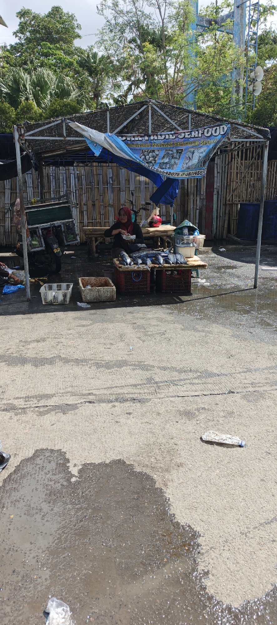 A woman wearing a red headscarf sits behind a stall displaying fresh fish in Puger, Indonesia. The stall is covered with a woven bamboo roof and a blue tarp, suggesting an outdoor market. The woman is handling money. In front of the stall, several fish are laid out on tables, with some in plastic containers. A motorcycle and a cart are parked nearby. The ground is wet and appears to be made of concrete. A blue plastic water barrel is visible to the right of the stall. Trees and vegetation are present in the background.