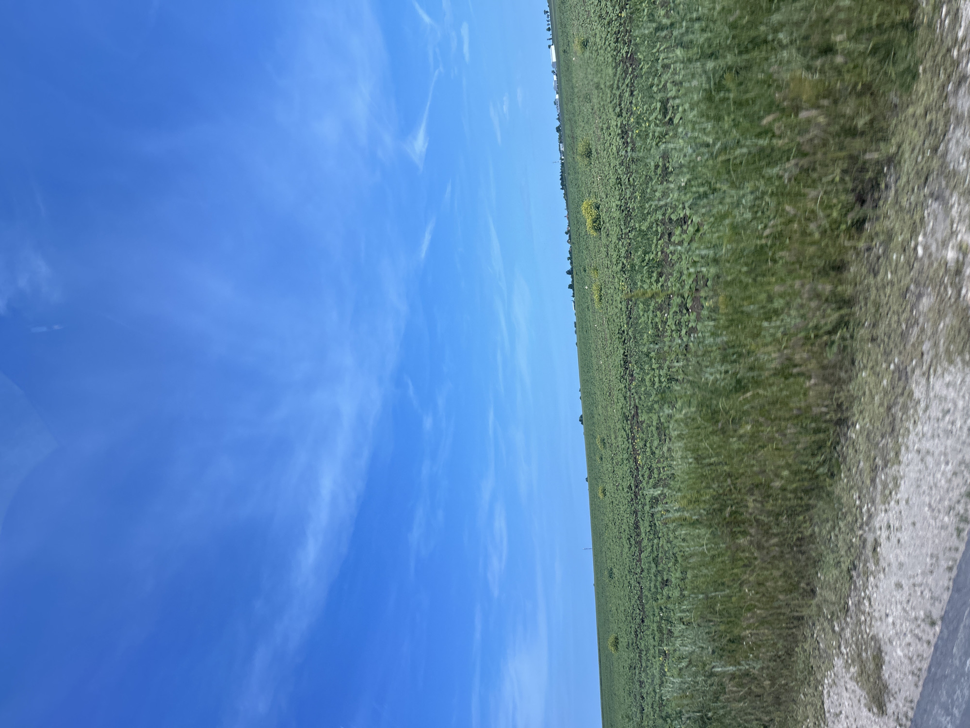 The image presents a wide-angle view of a serene rural landscape under a vast blue sky, located near Kumanovo, Bulgaria. The horizon line cleanly bisects the scene, separating the sky from the ground.
The upper portion of the image is dominated by a clear, bright blue sky, streaked with delicate, wispy white cirrus clouds that stretch horizontally across the frame. The strong, natural illumination suggests a sunny day, likely mid-morning to late afternoon.
Below the horizon, an expansive, flat green field extends into the distance, filling the lower half of the photograph. This field appears to be cultivated with young crops or dense natural vegetation, dotted with scattered small yellow wildflowers. Along the distant horizon, faint, dark linear shapes are discernible, possibly indicating distant trees or structures.
In the foreground, along the right edge of the frame, a lighter-colored strip of ground, resembling a gravel road or unpaved path, borders the green field. There are no people or active events depicted in this tranquil, open countryside scene. No text is visible in the image.
