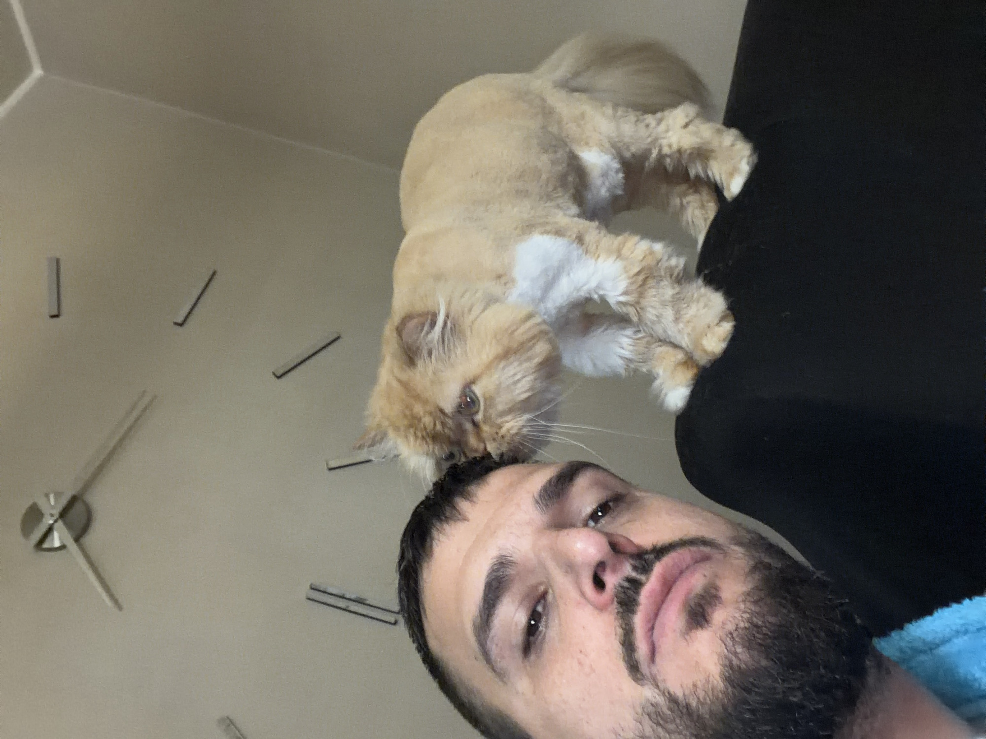 In this selfie, a man with a beard and mustache is looking towards the camera. Next to his face, a fluffy, light-orange cat with white markings on its chest and legs is leaning in. The cat appears to be recently groomed, with some areas of its fur shorter than others. They are positioned in front of a black surface, possibly a piece of furniture. In the background, on a light-colored wall, a modern, minimalist clock with long, thin hands and no numbers is visible, indicating the time is approximately 1:55. The overall setting suggests an indoor environment. The image is taken from a low angle, looking up at the subjects.