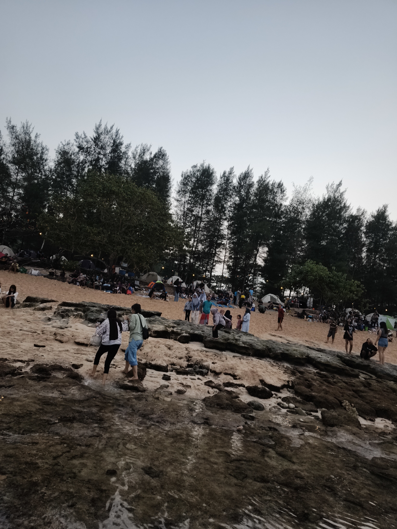 The image captures a beach scene at dusk in Sekarpuro, Indonesia. The foreground features rocky terrain partially submerged in shallow water, with ripples indicating gentle wave action. Beyond the rocks, a sandy beach is populated with numerous people and tents, suggesting a camping or gathering event. A line of tall, slender pine trees forms a dark backdrop against the pale, overcast sky. People are depicted engaged in various activities, including walking, sitting, and interacting in small groups. Several tents, in various colors including white, green, and blue, are pitched on the sand, some with lights illuminated. The overall atmosphere appears relaxed and communal, with the setting sun casting a muted light over the scene.