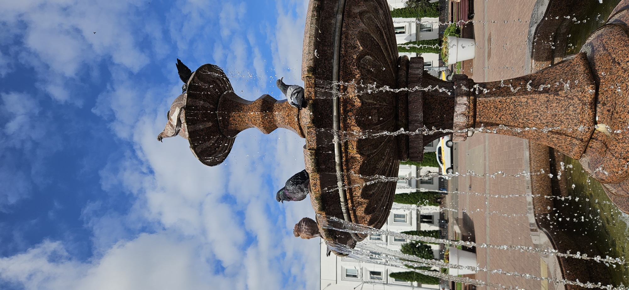 The image shows a large, ornate, multi-tiered fountain made of speckled reddish-brown granite. Water cascades down from the upper bowl in thin streams, creating a shimmering effect. Perched on various levels of the fountain are several pigeons. On the uppermost bowl, two pigeons are visible, one standing and one with its wings slightly spread. On the lower bowl, three pigeons are present: one on the left side facing away from the camera, one in the center with iridescent neck feathers, and another on the right side facing towards the left. The fountain is situated outdoors, with a paved area surrounding it. In the background, a white building with multiple windows and some evergreen trees can be seen. A yellow and white car is parked in the middle ground. The sky above is a vibrant blue with scattered white clouds. This scene is likely in a public square or park.