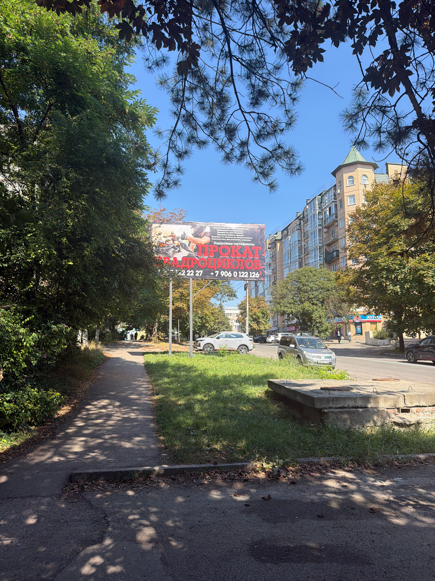 An outdoor, eye-level, medium shot shows a sidewalk and street scene on a sunny day. The image is framed by branches of pine and deciduous trees. In the foreground, a paved sidewalk runs along the left side of the image, bordered by a grassy verge and dense green bushes. The sidewalk is dappled with sunlight and shadows. A street with parked cars and trees lines the right side of the image, with a multi-story apartment building in the background. A large billboard advertising "POKATAICI KLIC" with images of extreme sports is prominently displayed. A silver SUV is parked on the side of the road, and a white sedan is partially visible. A few people are walking in the distance on the sidewalk. The environment appears to be urban, with signs of commercial activity and residential buildings. The overall impression is one of a typical day in a residential area of a city.