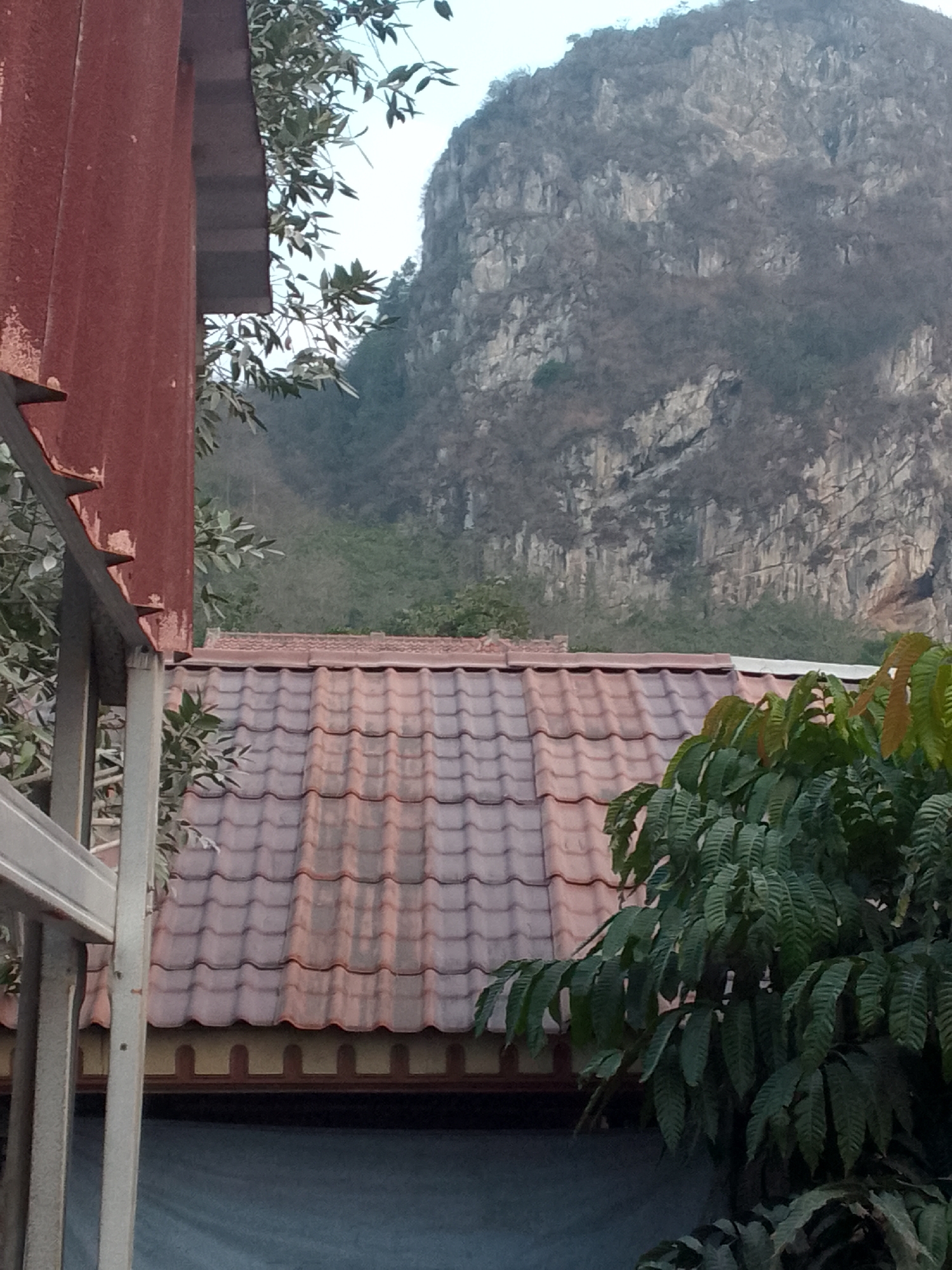 The image captures a view from what appears to be a residential area in Gunungmasigit, Indonesia, looking towards a large, rugged mountain. In the foreground, a portion of a red metal roof structure is visible on the left, with supporting metal poles. Next to this structure, a tiled roof with reddish-brown tiles stretches across the middle ground, featuring a repeating wave pattern. Above the tiled roof, a dense cluster of dark green leaves from a tree is prominent on the right side, with some lighter green leaves interspersed. The background is dominated by a massive, rocky mountain face with visible striations and sparse vegetation. The sky above is overcast and a pale gray. The overall impression is of a natural landscape juxtaposed with man-made structures. There are no people or animals present in the image.