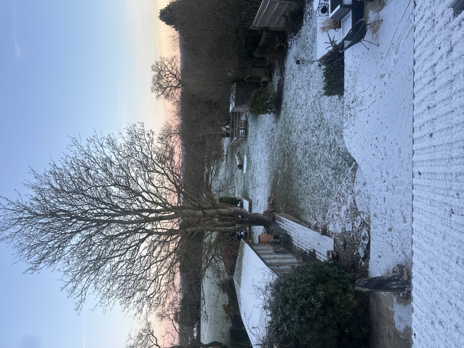 The image displays an elevated view of a snow-dusted garden and surrounding rural landscape in Tunbridge Wells, United Kingdom, captured during either dawn or dusk. The sky transitions from a light blue overhead to a pale pink and orange hue at the distant horizon.
In the immediate foreground, the ribbed surface of a snow-covered roof or terrace is visible. To the right of this, a stone-paved patio area is partially covered with snow, featuring two dark, modern-style outdoor chairs and a small table. On the left side of the foreground, a dark, upright, irregular stone object, approximately waist-height, stands on a small paved section surrounded by snow and sparse ground cover.
The midground comprises a large garden or backyard covered in a thin, patchy layer of snow, with green grass visible beneath in several areas. Footprints are discernible in the snow on the patio and leading into the garden. A substantial deciduous tree, bare of leaves, with multiple trunks, stands prominently in the center-left. To its left, a long, rectangular shed or greenhouse structure with a snow-covered corrugated roof and transparent wall panels is situated. A snow-dusted wooden deck extends from the front of this structure, with a terracotta pot visible on it.
Further back in the garden, various smaller deciduous trees and dormant bushes are visible. On the right side, a wooden fence marks a boundary, and two smaller wooden sheds or outbuildings are present, one with a slatted wooden enclosure adjacent to it. A large, horizontal log or timber piece lies on the snow-covered grass in the middle distance.
The background reveals an expanse of open, snow-dusted fields and distant bare trees, indicative of the Kent countryside. A white-facaded building is partially visible on the far left horizon. No individuals are present in the scene.