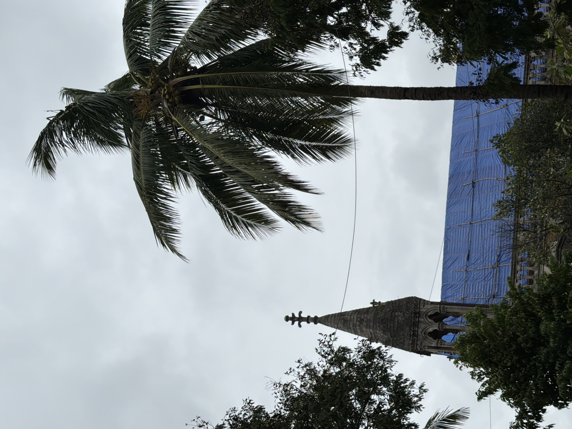 The image shows a gothic spire of a building, possibly a church or a public institution, with a blue tarp covering a portion of its roof, supported by scaffolding. A tall palm tree with coconuts stands prominently in the foreground, partially obscuring the building. Lush green trees surround the structure. The sky is overcast, suggesting a cloudy day. The architectural style of the spire and surrounding trees hints at a location within Mumbai, India, specifically likely near the Bombay High Court in the Fort area, known for its colonial architecture and presence of such trees. There are no people visible in the image.