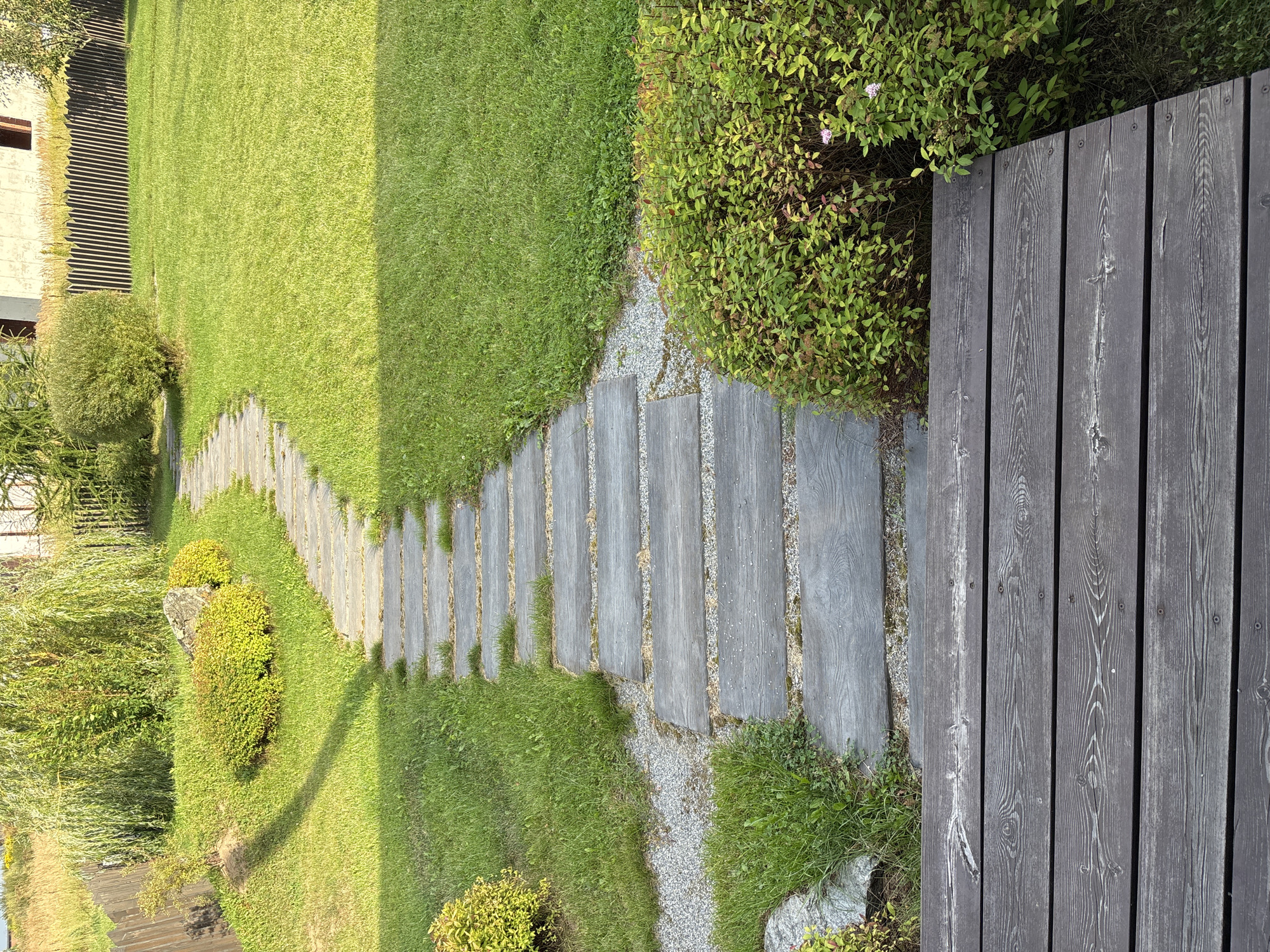 A path of flat, grey stone slabs winds through a lush green lawn, leading toward a wooden fence and a building in the distance. The path is flanked by vibrant green grass and interspersed with gravel. To the right of the path, a dense, green shrub with delicate pink flowers blooms. The foreground features a wooden deck made of dark, weathered planks. The scene is bathed in bright sunlight, casting shadows across the lawn. The image appears to be taken in a residential garden. This scene is located in Zvenigorod, Russia.