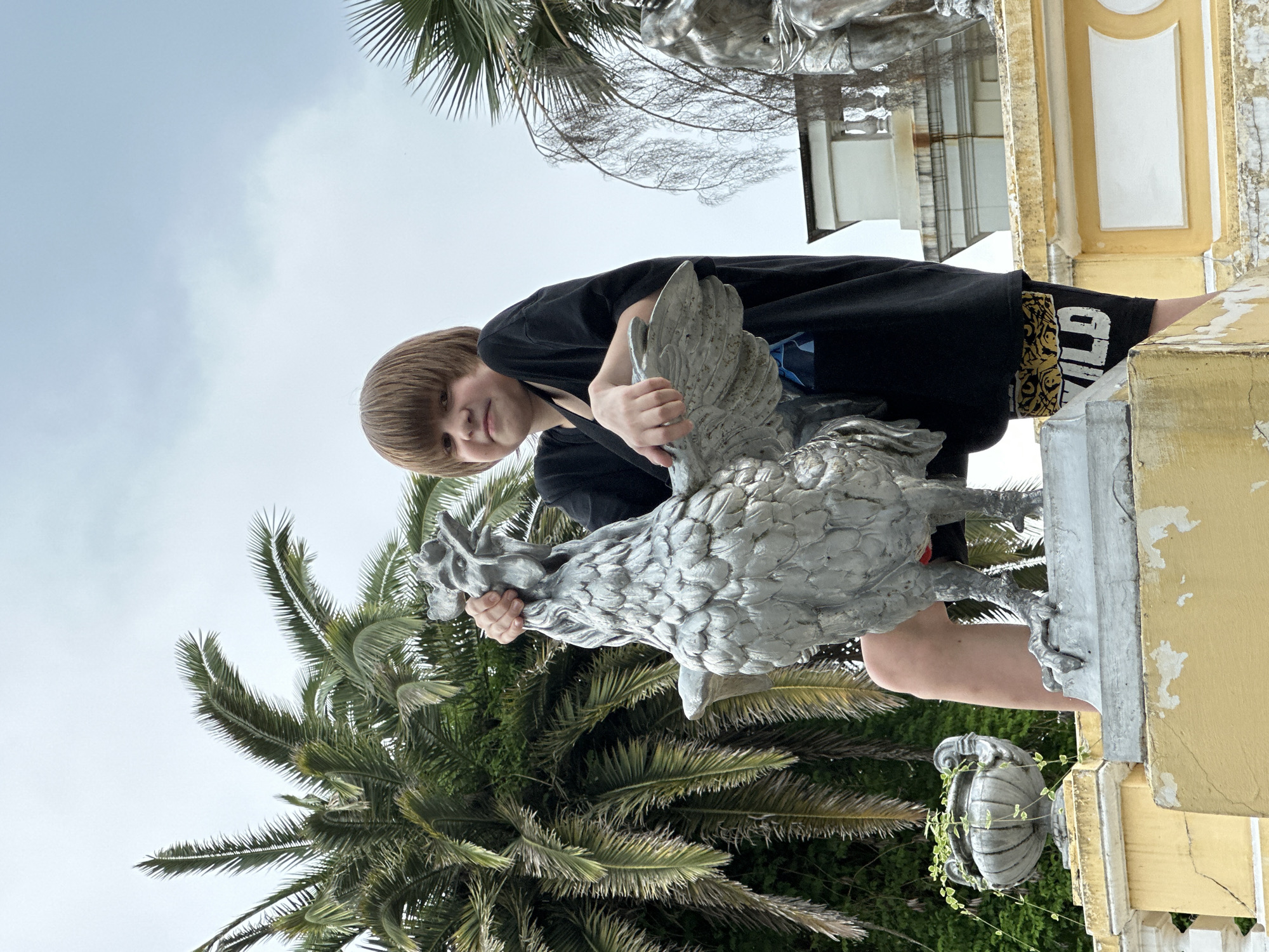 A young boy with a bowl-shaped haircut, wearing a black t-shirt and patterned shorts, poses with a silver statue of a rooster on a decorative pedestal. The boy is looking at the camera with a slight smile, holding the rooster's head with his left hand and resting his right arm on its wing. The statue is detailed, with prominent feathers and talons. The pedestal is made of concrete and painted yellow, with some chipping. In the background, palm trees and a light-colored building with decorative elements are visible. The sky is overcast. The scene appears to be outdoors, possibly in a park or public space in Sochi, Russia, suggested by the presence of palm trees and classical architectural elements often found in the city's gardens and seaside areas.