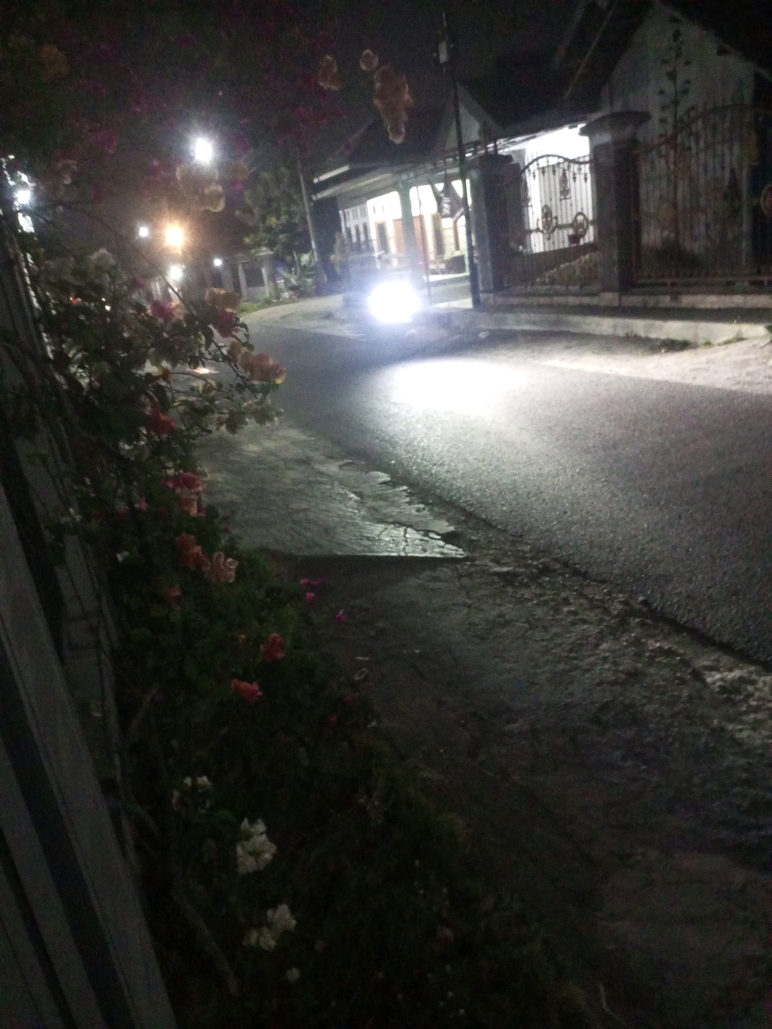 The image depicts a dimly lit street scene at night in Ngasem, Indonesia. A car, with its headlights on, is moving down the asphalt road, casting a bright glow. To the left of the road, a cluster of flowering plants with pink and white blossoms is visible, bordering a grey, textured wall. Beyond the plants, houses with illuminated windows and a decorative metal gate suggest a residential area. The overall ambiance is quiet and nocturnal, with artificial lighting illuminating the surroundings.
