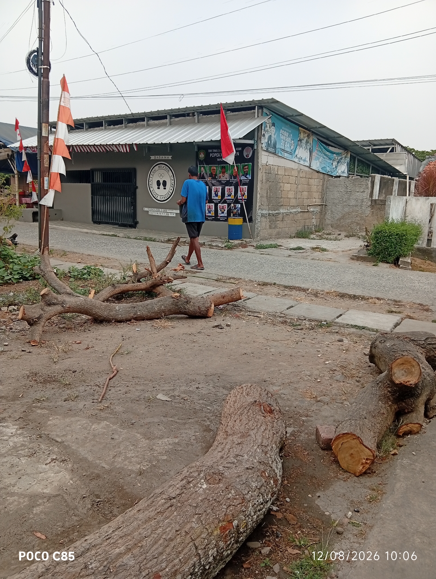 The image depicts a street scene in South Tangerang, Indonesia, possibly in a residential or semi-commercial area. In the foreground, several large logs, likely from a recently felled tree, are scattered on the ground and a concrete pathway. The logs show rough cuts, suggesting they have been processed.
Behind the logs, a person wearing a blue t-shirt and dark shorts is walking away from the camera on a paved walkway. To the left of the walkway is a building with a grey facade. Above the building's entrance, a circular emblem with boxing gloves and text is visible, indicating it might be a boxing club or gymnasium. The building is adorned with several Indonesian flags, both horizontal and vertical, along with what appear to be posters or banners on its walls. One banner displays text that could be related to an event or organization.
The environment appears somewhat undeveloped, with some vegetation growing in patches and a general sense of an outdoor area. The sky is overcast, and the lighting suggests it is daytime. A utility pole with wires is present to the far left of the image. The overall scene suggests a normal day with recent tree removal activity.