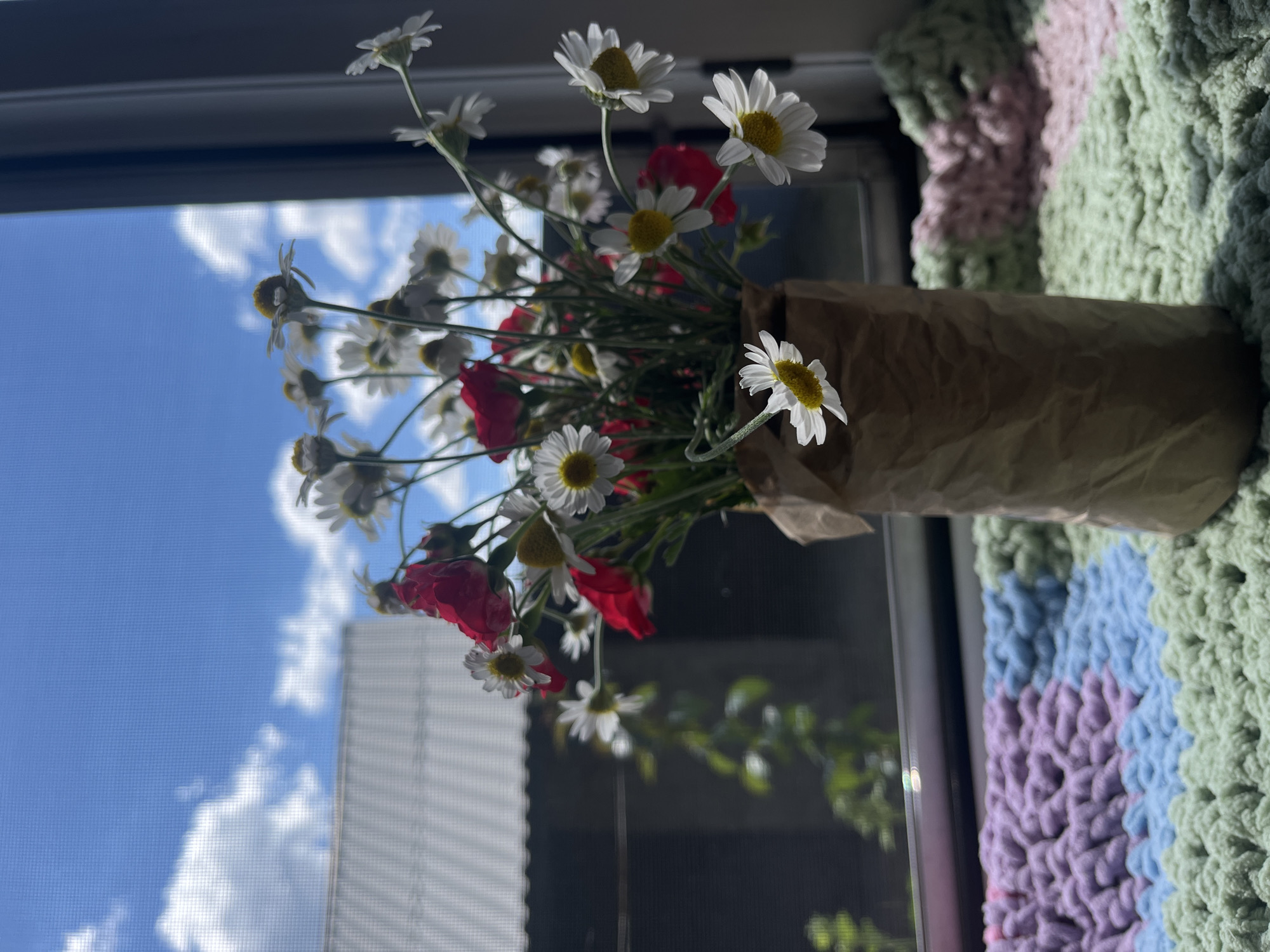 A close-up, eye-level shot features a bouquet of white daisies and red roses in a brown paper vase, placed on a windowsill. The vase is centrally located and fills the foreground. Behind the flowers, a window reveals a blue sky with scattered white clouds and a hint of a building's roof. To the left of the vase, a green vine hangs down. The windowsill itself is covered with a knitted blanket in pastel colors: green, blue, pink, and purple. The overall lighting suggests it is daytime.
