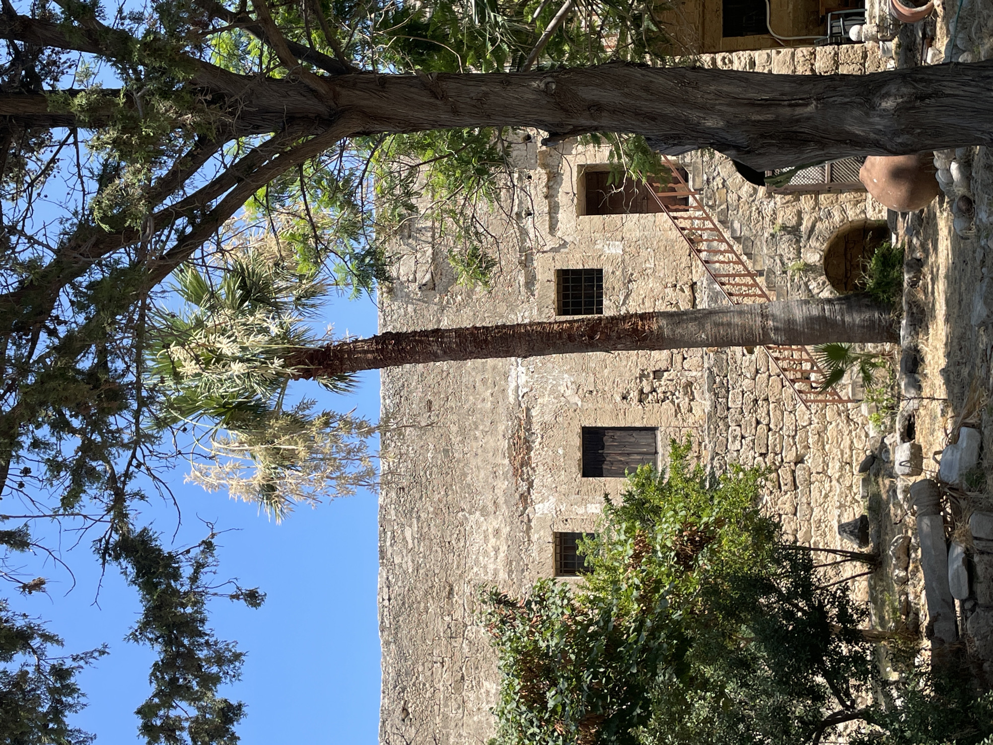 The image depicts the exterior of a stone building, likely an ancient structure or ruin, under a clear blue sky. The building's walls are constructed from rough-hewn, light-colored stones. In the foreground, lush green trees and a tall palm tree partially obscure the view of the building. The palm tree is situated in front of a set of outdoor stairs with a reddish-brown railing, leading up to a doorway. Two windows with metal grates are visible on the building's facade, along with another wooden door. The ground is covered with dry earth, scattered stones, and some overgrown vegetation. In the lower right corner, a large, round, terracotta amphora is visible. The scene appears to be an outdoor courtyard or garden area. The architectural style and the surrounding vegetation suggest a Mediterranean or similar warm climate. Based on the architectural features and the typical scenery found in the region, this image could be a part of Kyrenia Castle or its surroundings in Northern Cyprus.