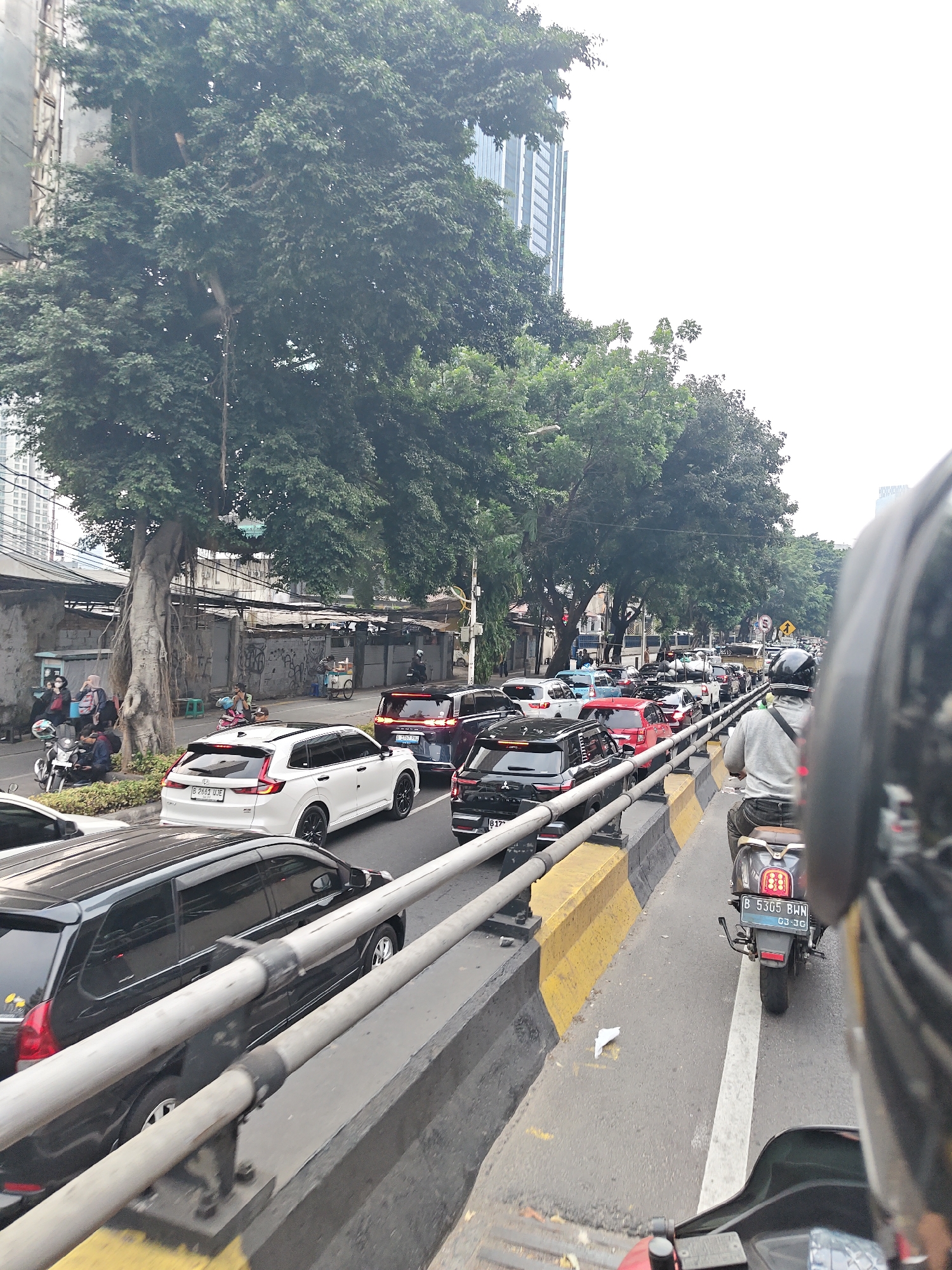 In Central Jakarta, Indonesia, a congested traffic scene unfolds on a multi-lane road. The perspective is from a motorcycle, looking forward at a line of cars and other motorcycles. The vehicles are predominantly modern, including a white SUV, a black SUV, and several other sedans and motorcycles. People on motorcycles and walking on the sidewalk are visible, with some individuals in the foreground wearing helmets. Lush green trees line the roadside, with a large, old tree with exposed roots prominently featured on the left. In the background, tall buildings indicate an urban environment. The road is marked with yellow and black barriers, and white lane dividers. The sky is overcast, suggesting a hazy or cloudy day. The overall impression is one of typical urban traffic in a tropical city.