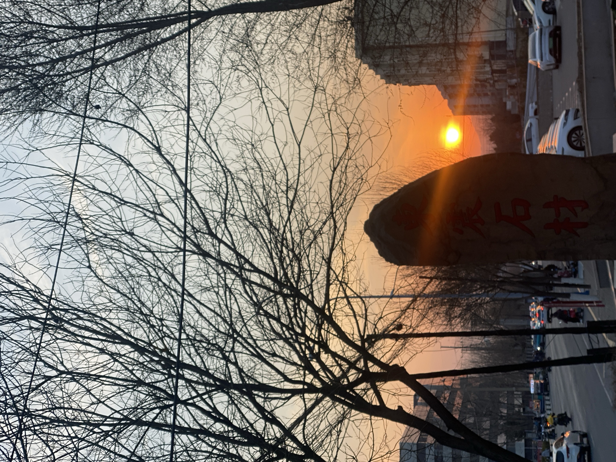 The image depicts a street scene in Zhongtun, China, during sunset. In the foreground, bare tree branches are silhouetted against the orange and yellow sky. A stone marker with Chinese characters is partially visible on the right. The road is lined with parked cars, moving cars, and motorcycles. Buildings are on both sides of the street. The sun is setting over the buildings, causing a glare.