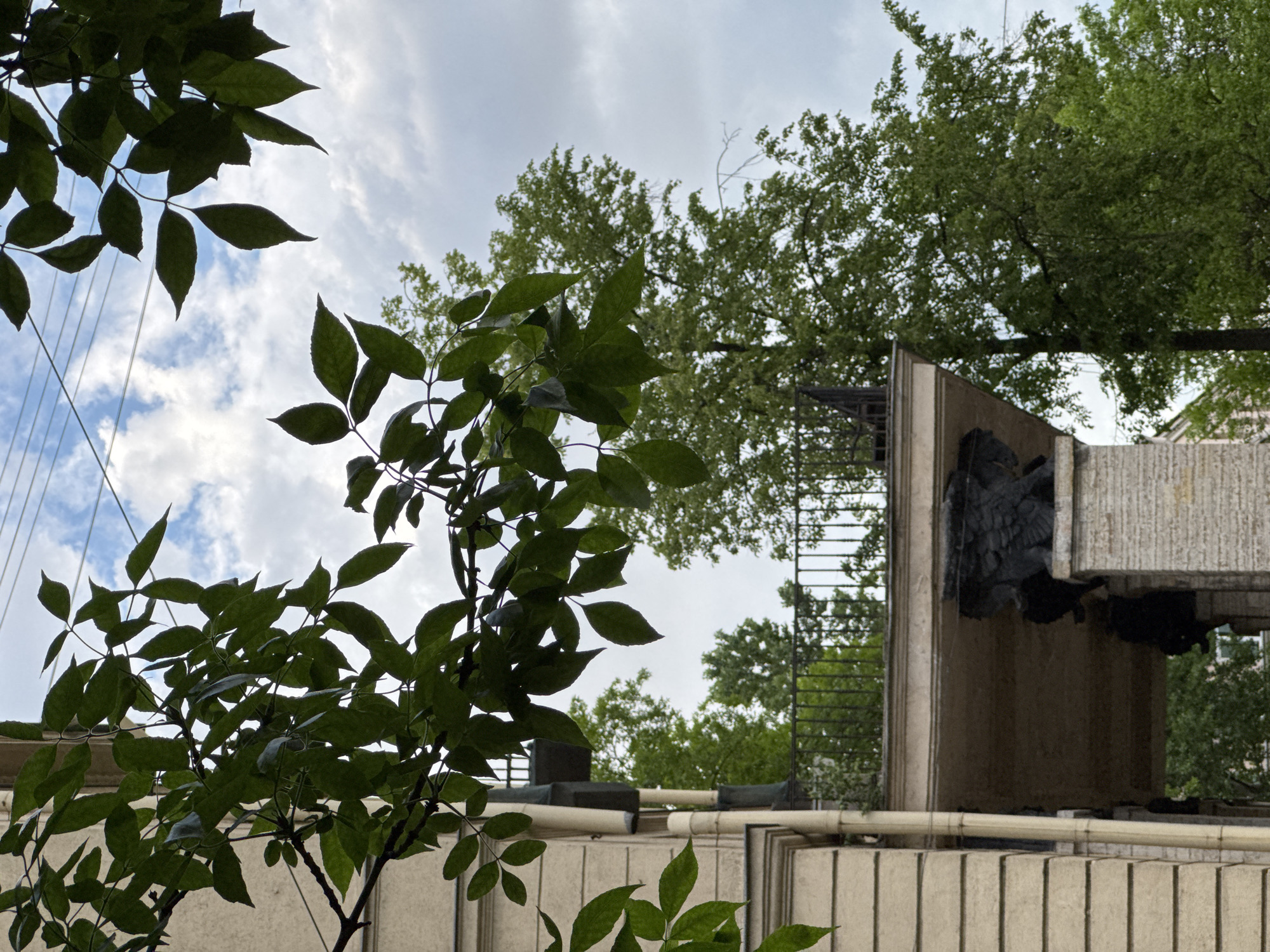 The image captures an upward-looking perspective through dense, dark green foliage against a bright, partially cloudy sky. In the immediate foreground, numerous large, vibrant green leaves and branches from a tree or shrub are prominently displayed, some silhouetted against the sky while others show more detail.
Beyond the foreground leaves, a clear blue sky interspersed with scattered white clouds dominates the upper portion of the frame. In the upper-left quadrant, several thin, light-colored vertical lines, possibly cables or wires, are visible against the sky.
In the mid-ground, a substantial architectural structure made of light-colored, vertically textured blocks, likely concrete or stone, is partially visible. Horizontal pipes run across the top of this structure. An intriguing detail on the right side of the structure is a dark, heavily textured sculptural element, possibly a relief or a gargoyle. This intricate piece, made of a dark material like bronze or weathered stone, appears to depict an abstract form or creature with discernible patterns resembling scales or feathers. Further in the background, above and behind the architectural elements, the canopies of other green trees are visible.
The scene depicts an outdoor setting during daytime with fair weather. No people or specific activities are shown. The blend of natural foliage and distinctive architecture suggests an urban or suburban environment, consistent with locations like Saint Petersburg, Russia. No visible text is present in the image.