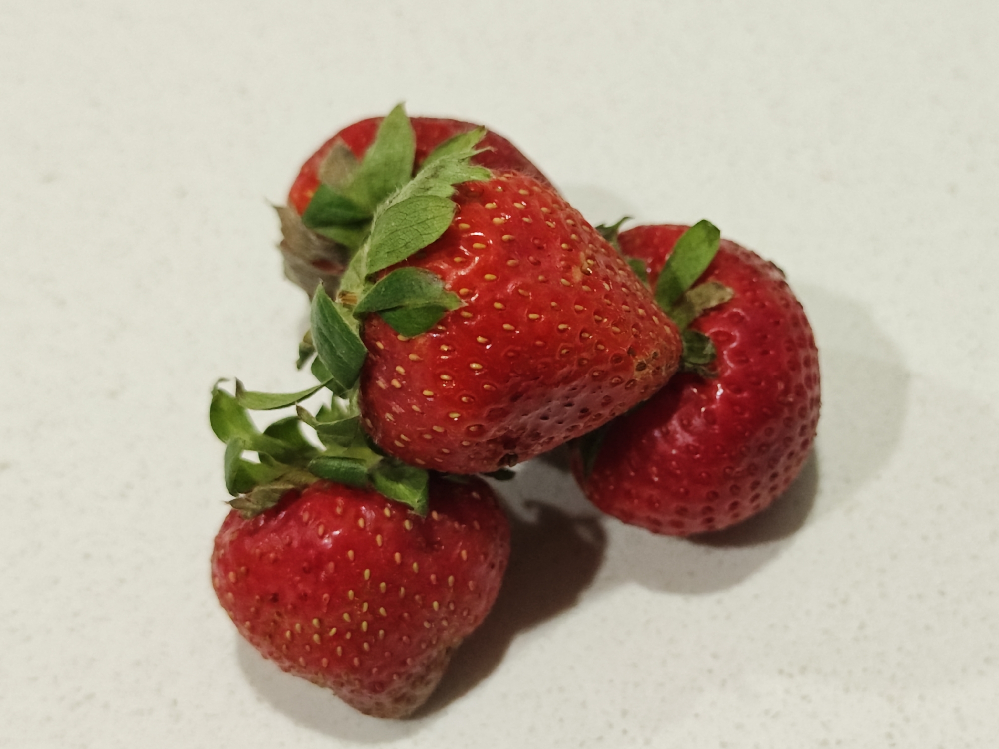 A close-up, overhead shot features four ripe strawberries on a speckled white countertop. The strawberries, varying slightly in size, are a vibrant red with visible seeds. Green leafy tops are attached to three of the strawberries, with one prominent leaf arching over the largest berry. The lighting casts soft shadows from the fruit onto the surface. There is no indication of the location in Calgary, Canada.