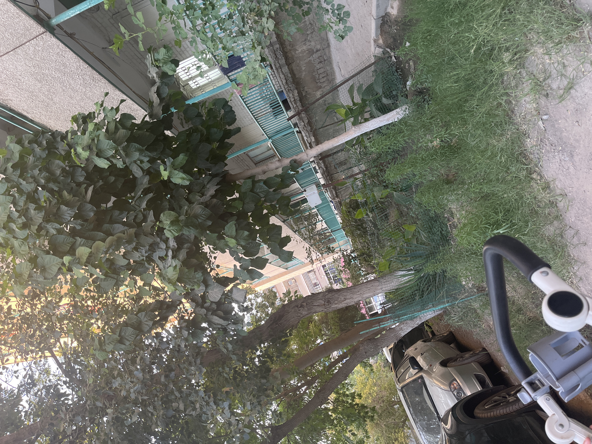The image depicts an outdoor scene in Navoiy City, Uzbekistan, likely a residential area. In the foreground, a stroller's handle is visible, suggesting someone is pushing it or has just set it down. Adjacent to this, a silver car is parked. Behind the car, a thin tree with white-painted lower trunk stands, and further back, taller trees with dense green foliage dominate the left side of the frame. The background features a multi-story building with a balcony area enclosed by a teal-colored railing. The building's exterior appears to be a light-colored, textured material. A section of a chain-link fence is visible near the trees, separating the paved area from a patch of green grass and smaller plants. The sky is visible through the tree canopy, with sunlight filtering through, creating a dappled effect. The overall impression is one of an urban environment with a mix of natural elements and man-made structures.
