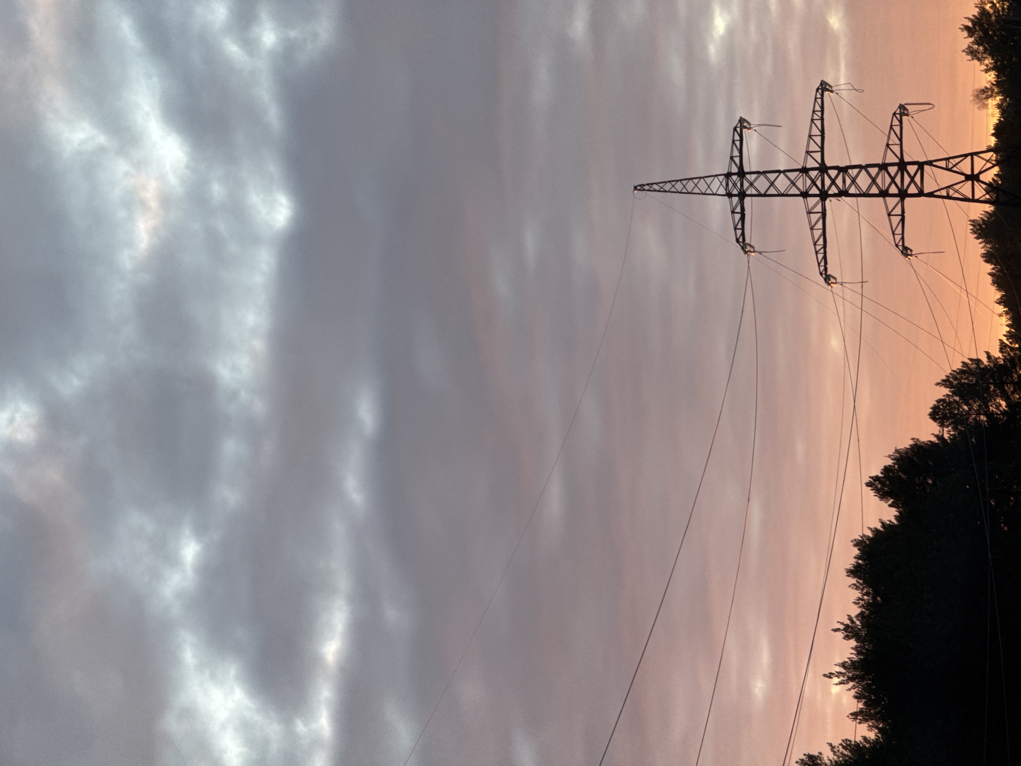 This image depicts an outdoor scene in the city of Noviy, Russia, at either dawn or dusk. The sky occupies approximately two-thirds of the frame, transitioning from a gradient of grey, overcast clouds in the upper portion to vibrant orange and pink hues near the horizon line. A large, dark metal lattice electricity pylon stands prominently on the right side of the lower half, silhouetted against the colorful sky. Multiple power lines extend horizontally and diagonally from the pylon's cross-arms across the mid-ground. A dense line of dark coniferous trees forms the horizon, also silhouetted against the illuminated sky, primarily spanning the bottom portion of the image below the pylon's structure. No individuals or specific actions are visible.